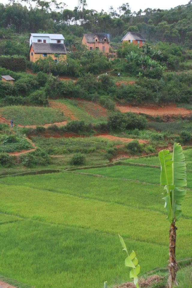 Madagassisches Dorf
