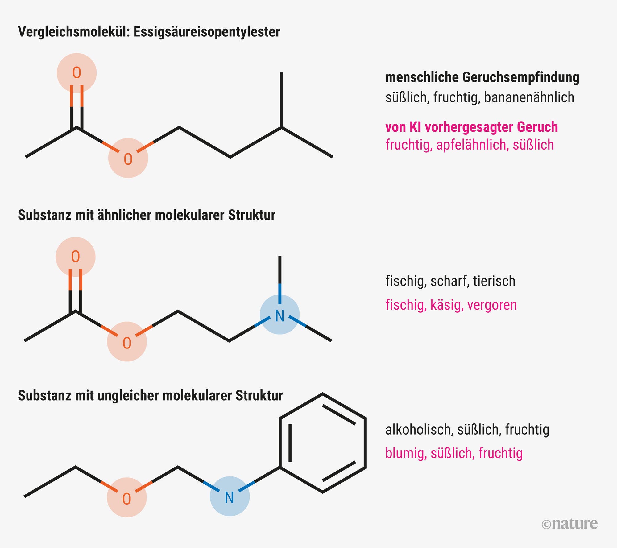 Gleiches und Unterschiedliches