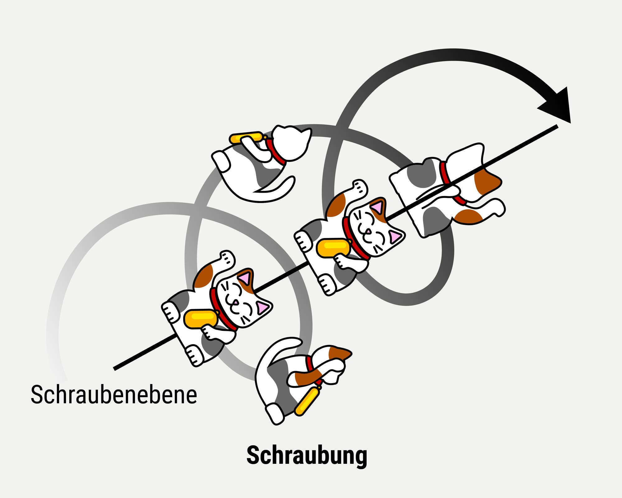 Eine Illustration zeigt eine Abfolge von Katzenfiguren, die entlang einer spiralförmigen Linie angeordnet sind. Die Katzen sind in verschiedenen Positionen dargestellt, als ob sie sich um die Linie drehten. Die Begriffe "Schraubenebene" und "Schraubung" sind neben der Spirale platziert. Ein Pfeil am Ende der Linie deutet auf eine Bewegung oder Richtung hin. Die Darstellung kombiniert künstlerische Elemente mit einem Konzept von Rotation oder Bewegung.
