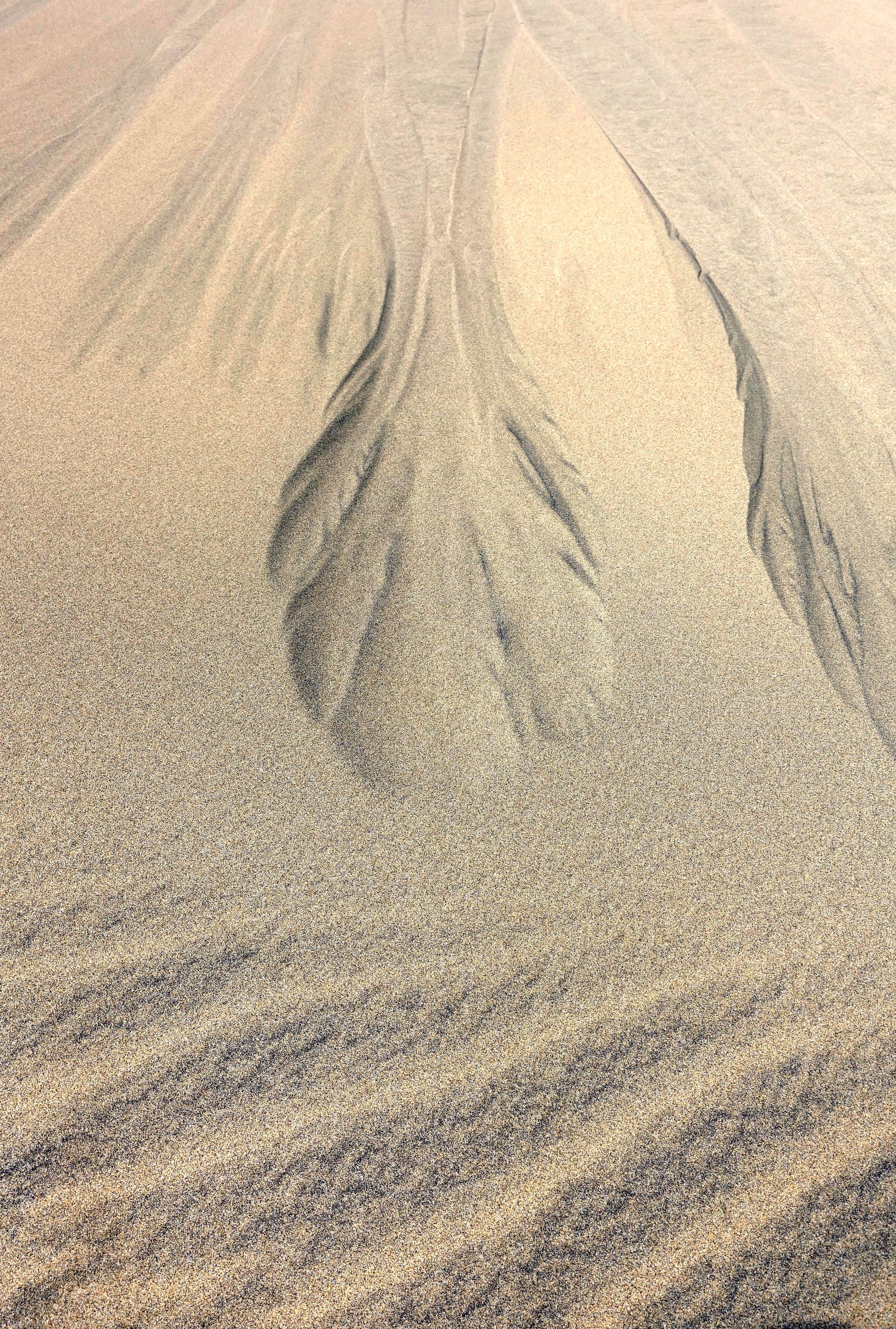 Am Hang einer Sanddüne ist eine Lawine abgegangen