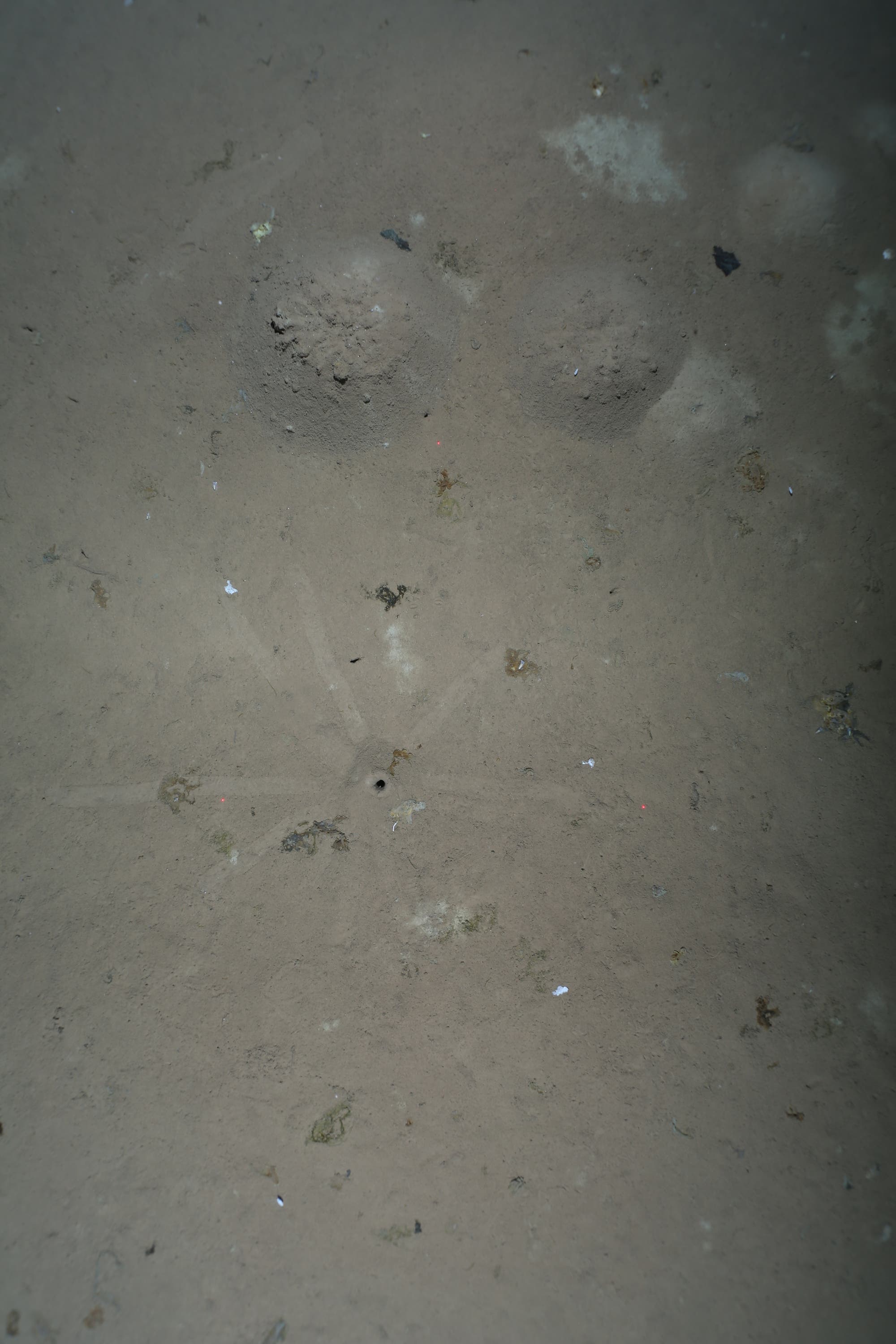 Foto des Tiefseesediments. In der Mitte befindet sich ein kleines Loch, von dem aus sternförmige Strahlen ausgehen.