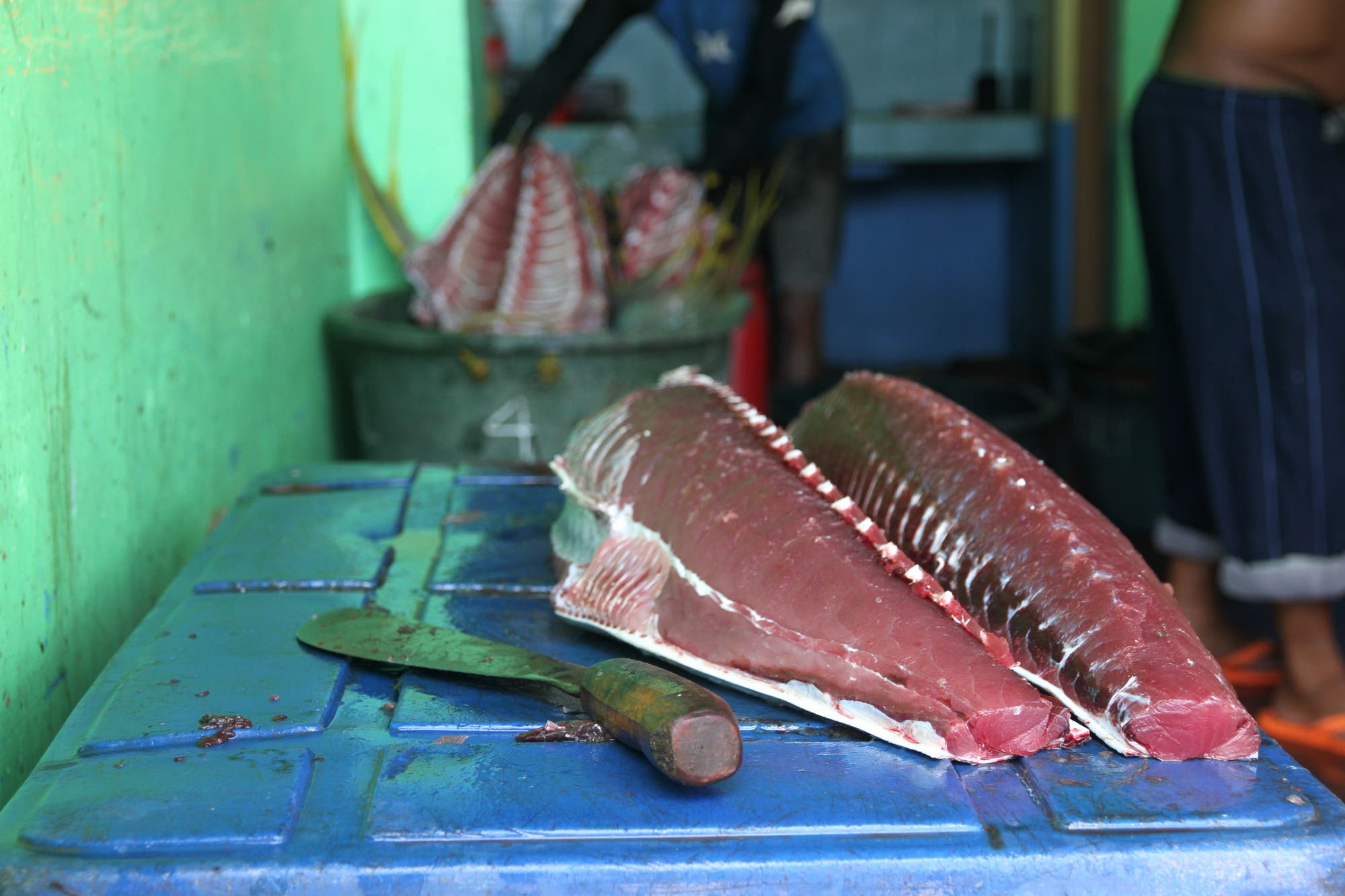 Der frische Thunfisch wird direkt im Hafen weiterverarbeitet