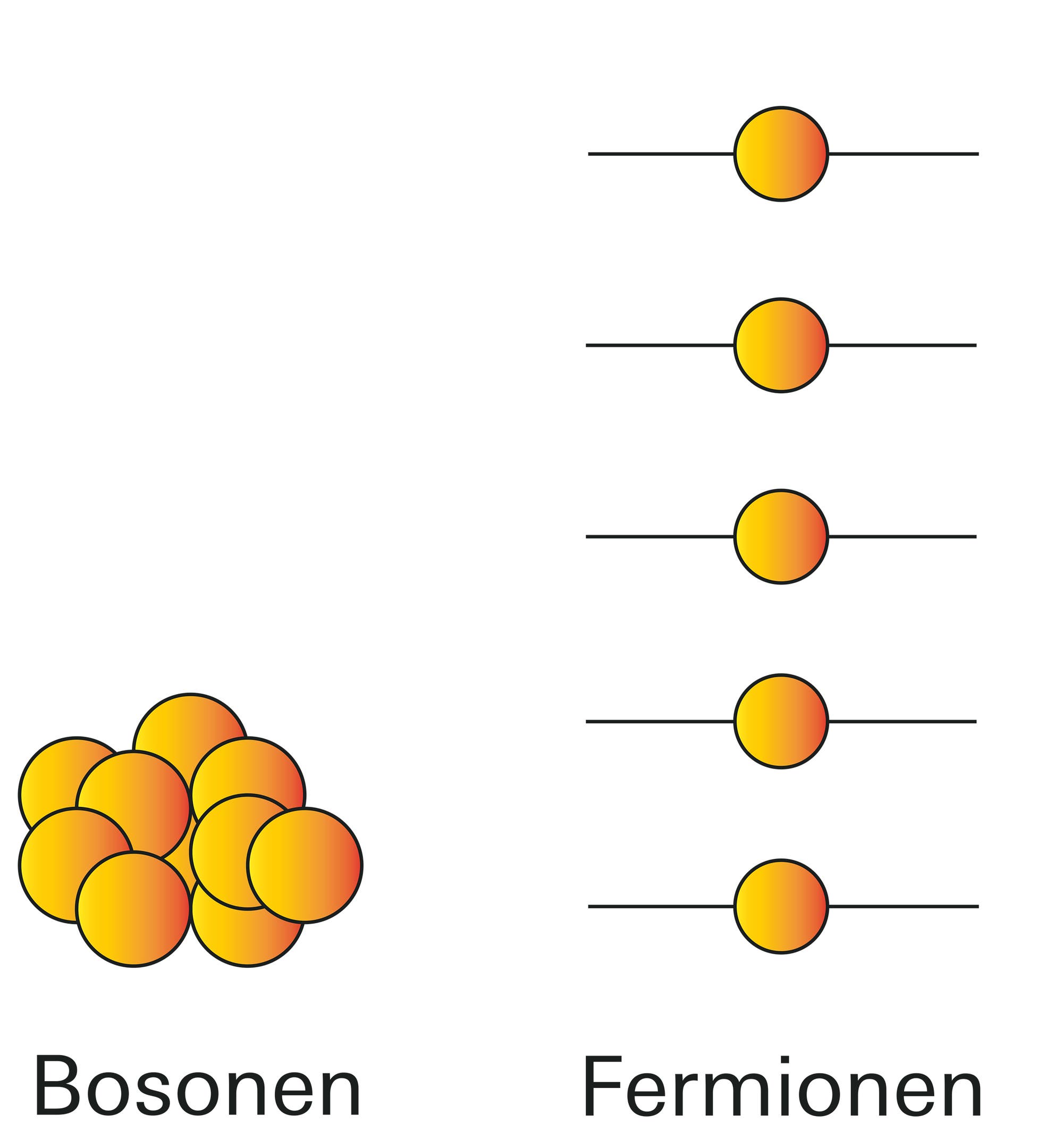 Bosonen und Fermionen