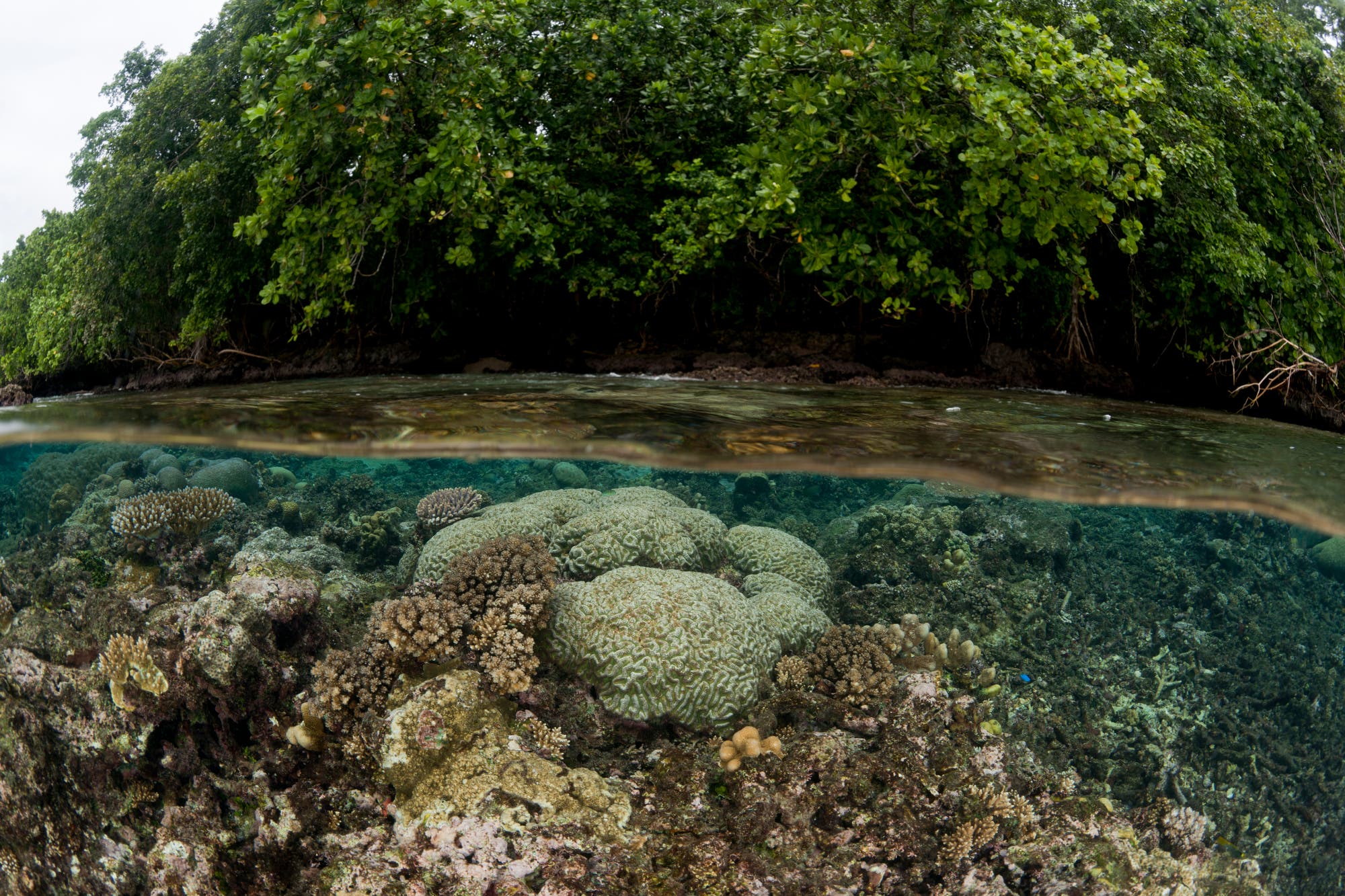 Tetepare, Solomonen – das letzte unberührte tropische Eiland