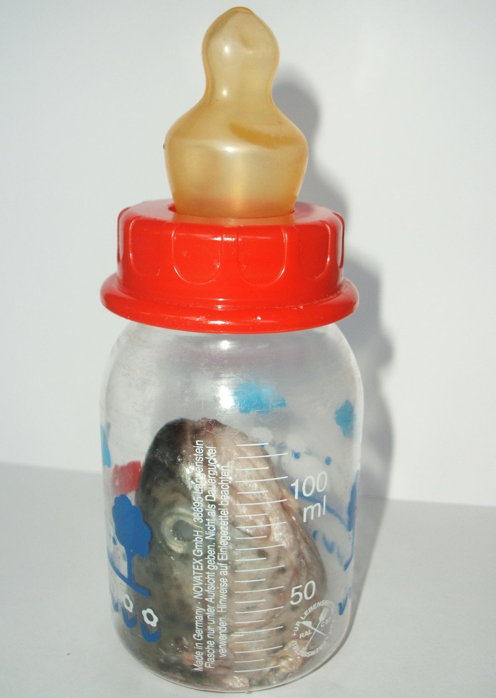 Fischkopf in Babyflasche