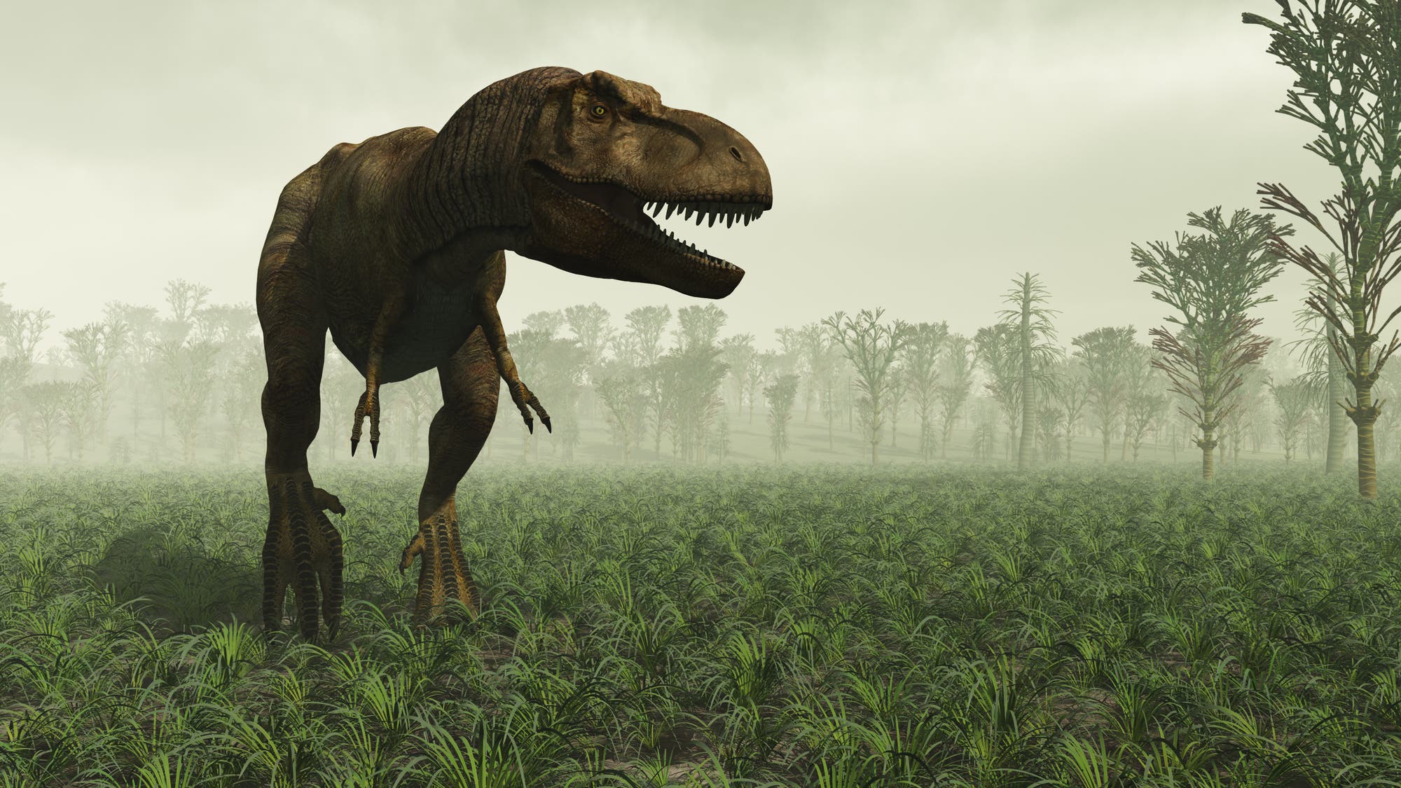 Der Fleisch fressende Tyrannosaurus rex lebte vor bis zu 68 Millionen Jahren.