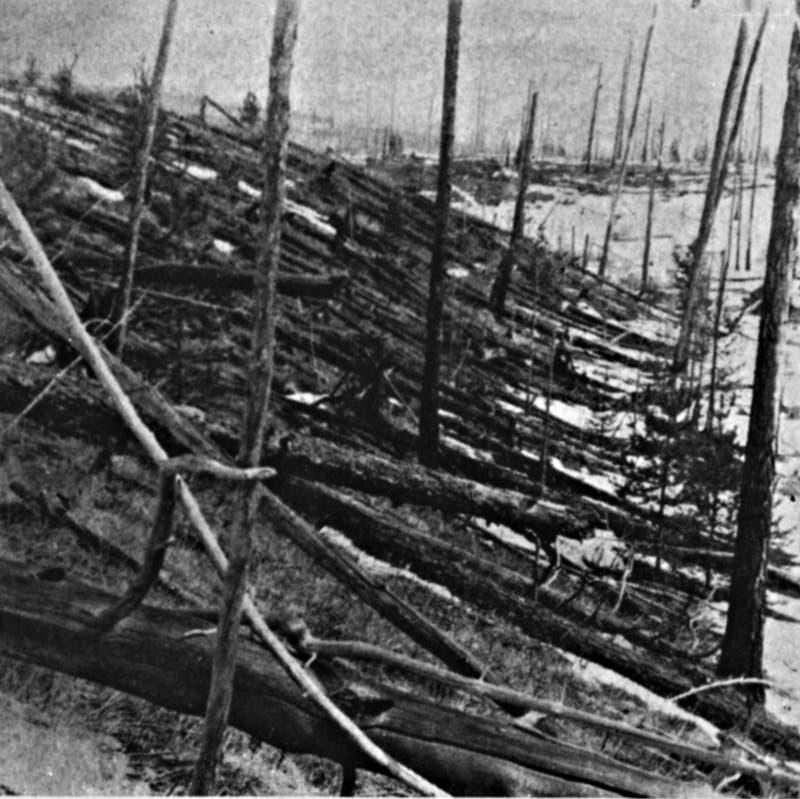 Tunguska-Katastrophe vom 30. Juni 1908: Im Herzen des zerstörten Gebiets