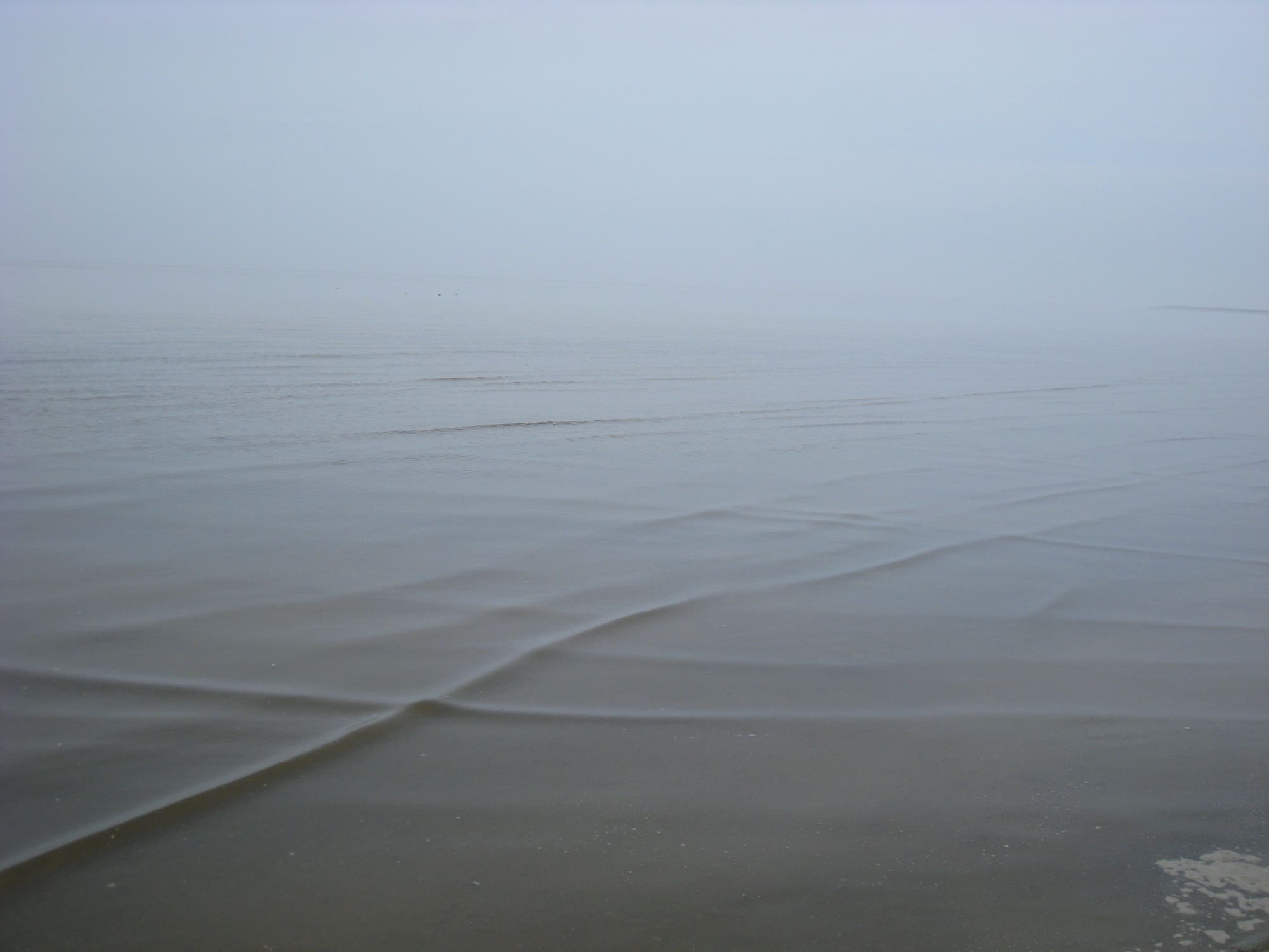 Foto flacher Wellen in Ufernähe im Watt, die sich kreuzweise durchdringen.