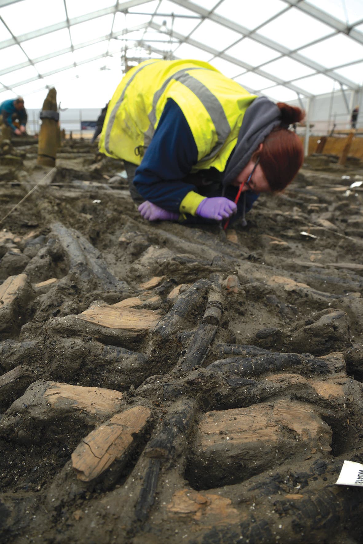 Eine Person in einer gelben Warnweste und lila Handschuhen untersucht sorgfältig archäologische Überreste in einem großen, überdachten Ausgrabungsbereich. Der Boden ist mit Holzspänen und Erde bedeckt. Im Hintergrund sind weitere Personen bei der Arbeit zu sehen. Die Szene vermittelt den Eindruck einer intensiven archäologischen Untersuchung.