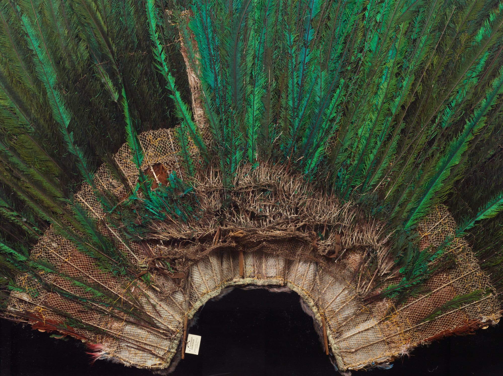 Ein traditioneller Kopfschmuck aus grünen Federn, die in einem fächerförmigen Muster angeordnet sind. Die Basis besteht aus gewebtem Material, das die Federn hält. Der Kopfschmuck liegt auf einem dunklen Hintergrund, was die leuchtenden Farben der Federn hervorhebt.