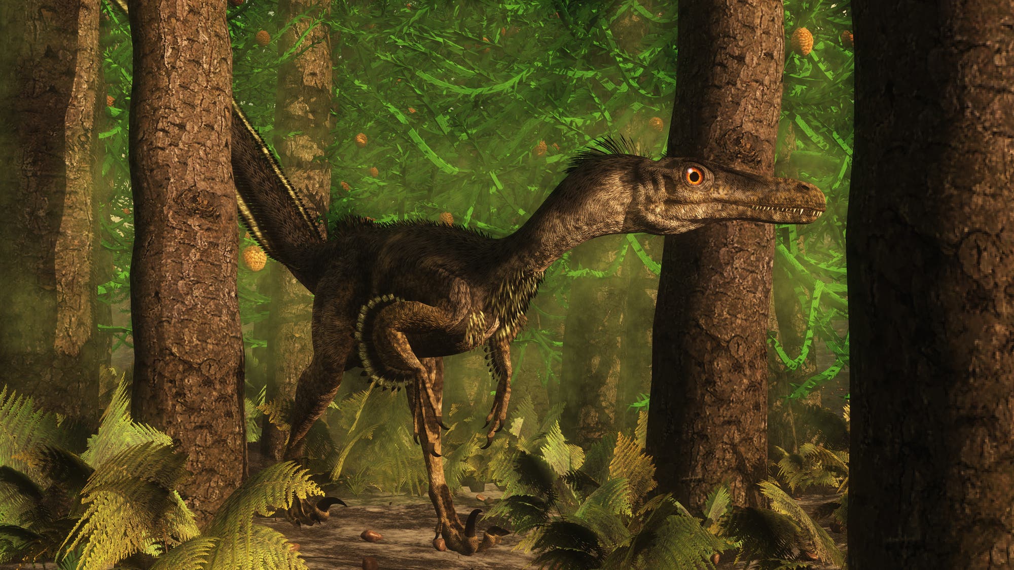 Velociraptor ist eine Dinosaurier-Gattung, die vor etwa 85 bis 76 Millionen Jahren in der späten Kreidezeit lebte.