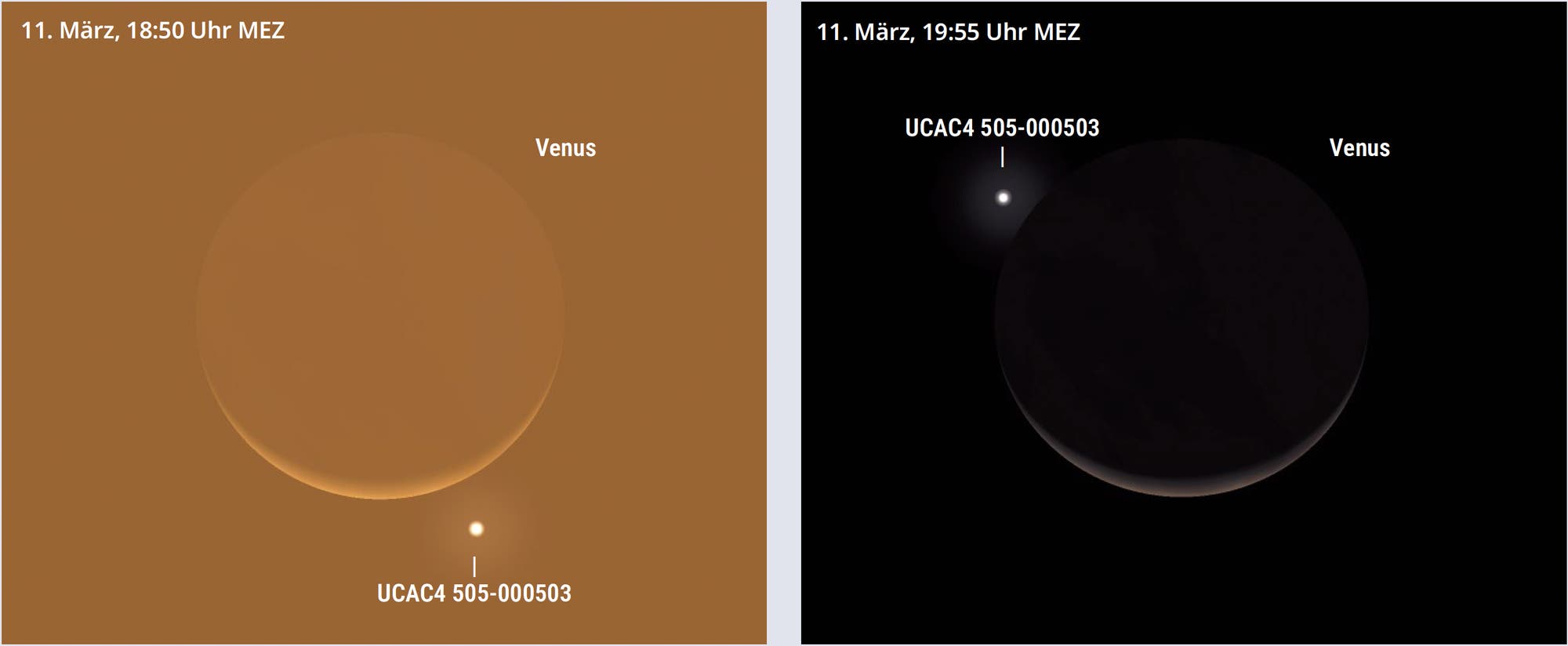 Grafische Darstellung der Bedeckung eines Sterns durch die Venus. Auf der linken Seite ist der Anblick kurz vor Beginn der Bedeckung abgebildet, rechts kurz nach ihrem Ende.
