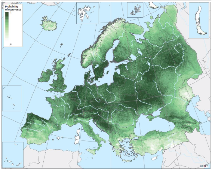 Verbreitung der Bachstelze in Europa