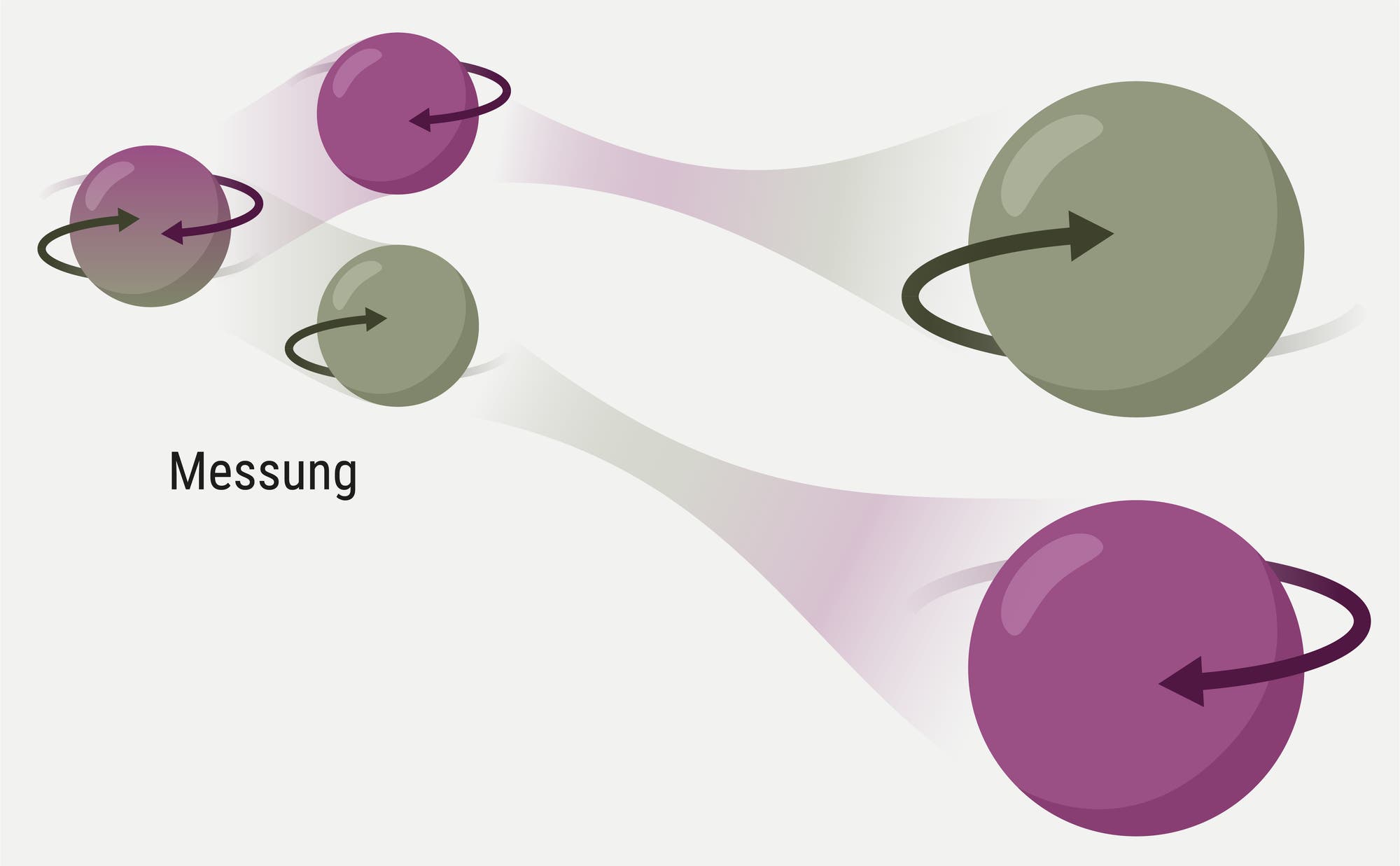 Das Bild zeigt eine schematische Darstellung von zwei Paaren rotierender Kugeln, die durch Pfeile gekennzeichnet sind. Die Kugeln sind in unterschiedlichen Farben dargestellt: lila und grün. Links im Bild befindet sich der Text "Messung". Durch die Messung wird das ehemals in einem Überlagerungszustand befindliche Teilchen 1 in einen eindeutigen Zustand versetzt, und das damit verbundene Teilchen 2 nimmt den jeweils entgegengesetzten Zustand ein.
