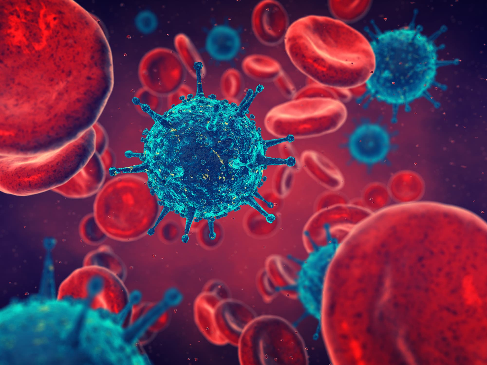 Grafische Darstellung eines Viruspartikels zwischen roten Blutkörperchen