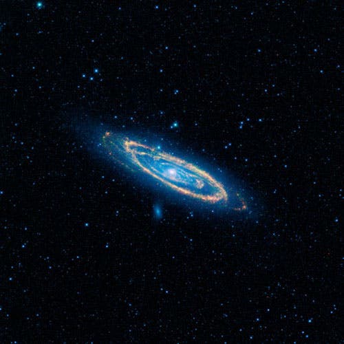 Die Andromedagalaxie im Blick von WISE