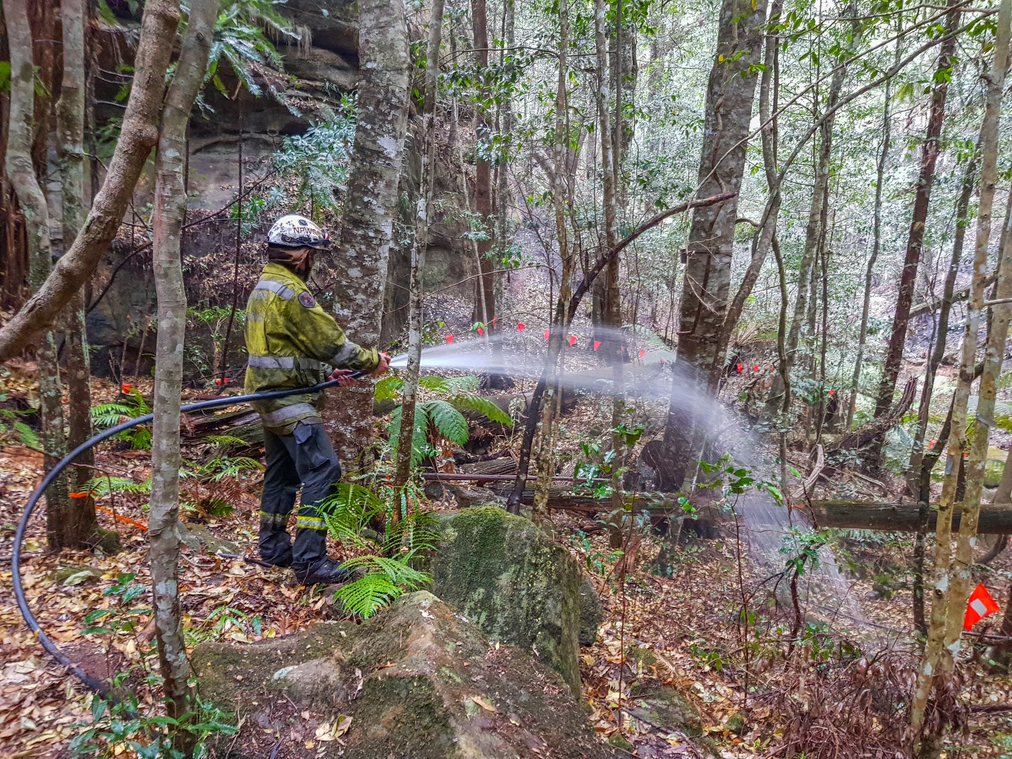 Feuerwehrmann wässert Unterholz