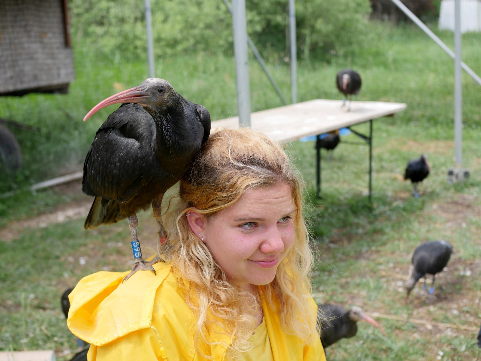 Eine junge Frau im Friesennerz mit einem großen schwarzen Vogel auf der Schulter.