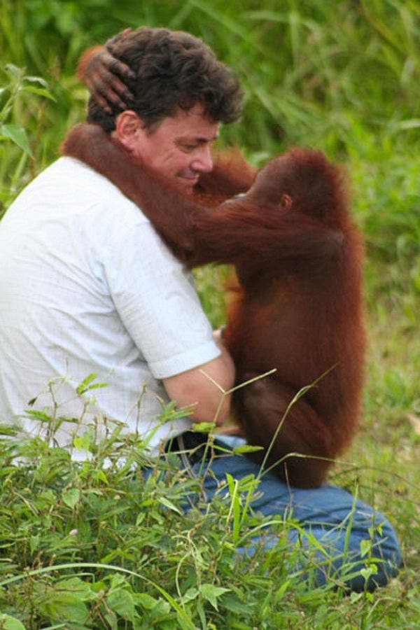 Willie Smits mit Orangutan