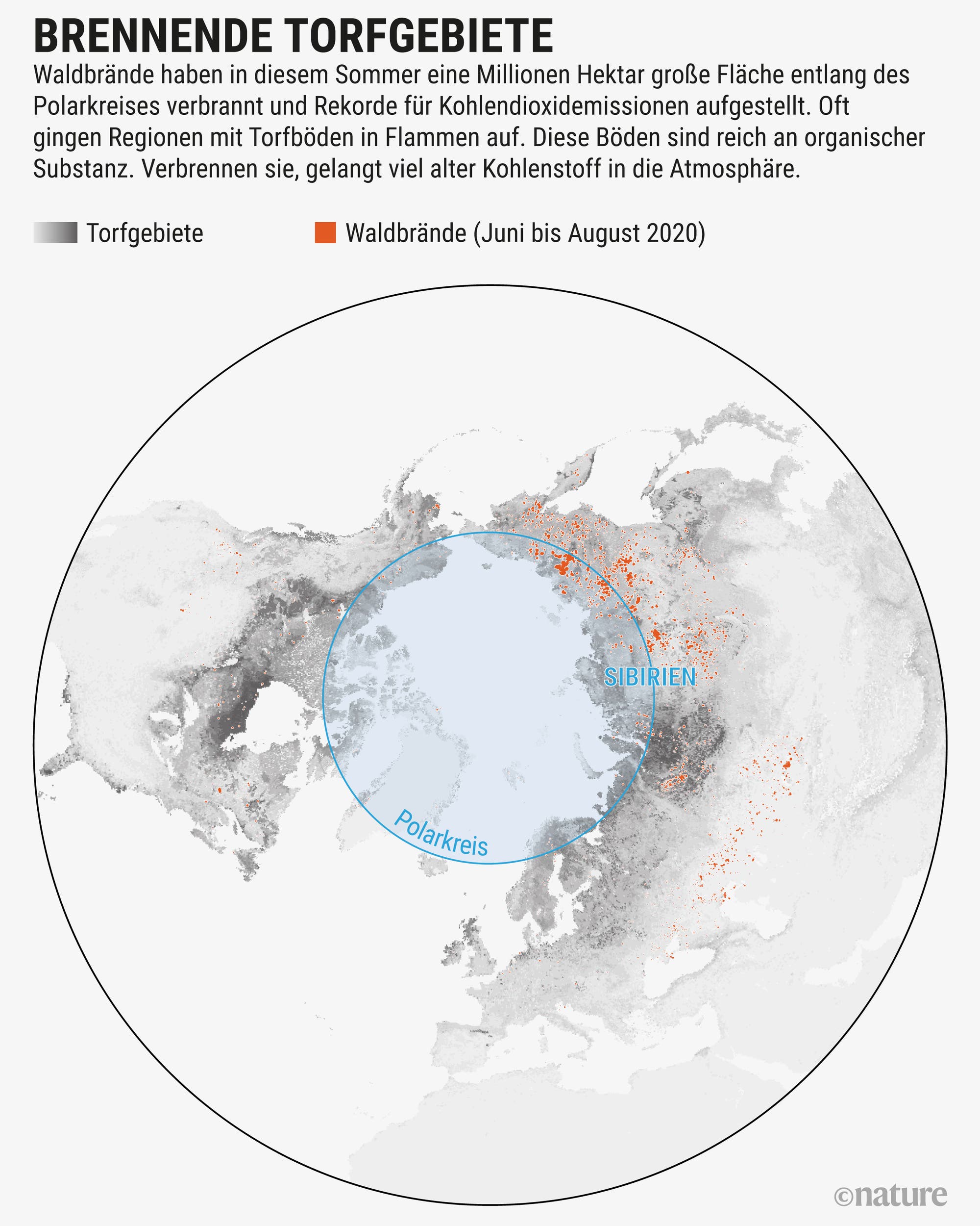 Waldbrände haben in diesem Sommer eine Millionen Hektar große Fläche entlang des Polarkreises verbrannt.