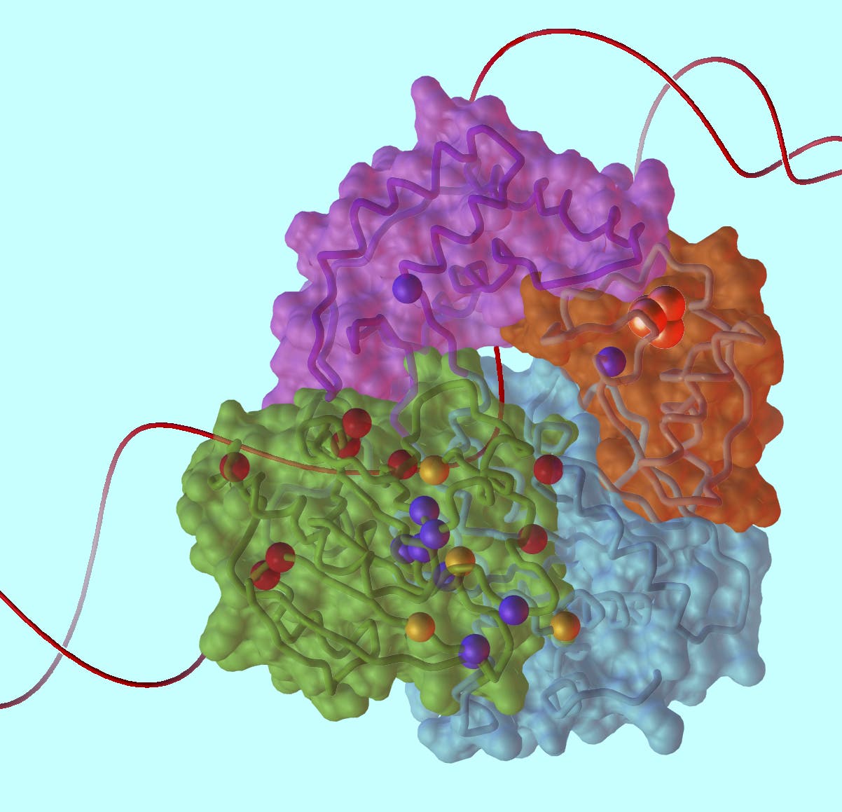 Struktur der XPD-Helikase mit DNA