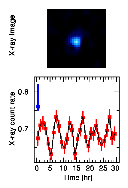 Der Stern Xi1 Canis Majoris im Sternbild Großer Hund (animierte Grafik)