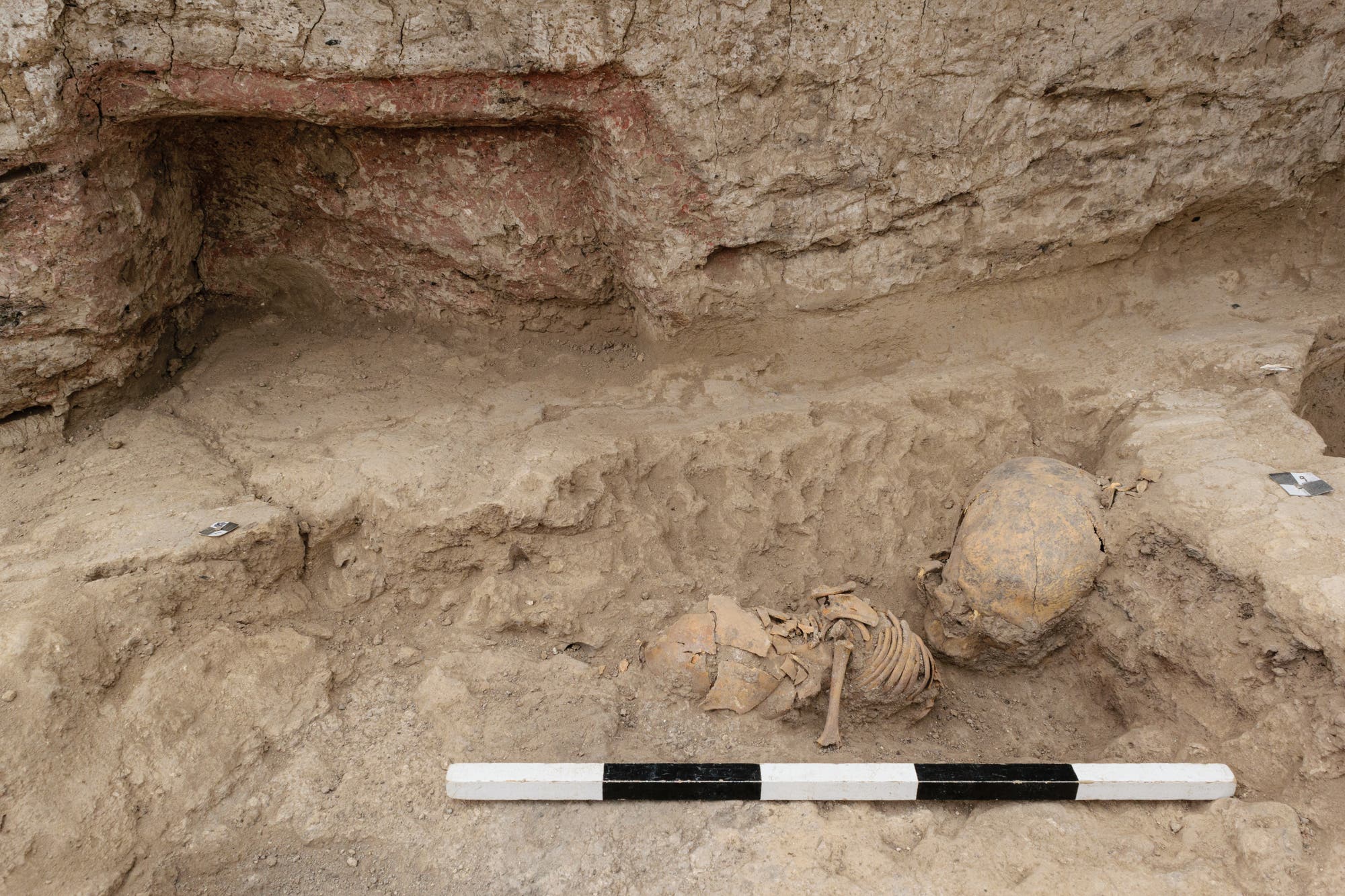 Eine archäologische Ausgrabungsstätte zeigt die teilweise freigelegten Skelette eines Kleinkinds sowie den Schädel eines Erwachsenen in einer sandigen Grube. Beide Gebeine liegen auf der Seite, beim Kind sind Schädel und Rippen gut sichtbar. Im Vordergrund befindet sich ein Maßstab mit schwarzen und weißen Markierungen zur Größenbestimmung. Die umgebende Erdschicht zeigt Spuren von rötlicher Färbung.