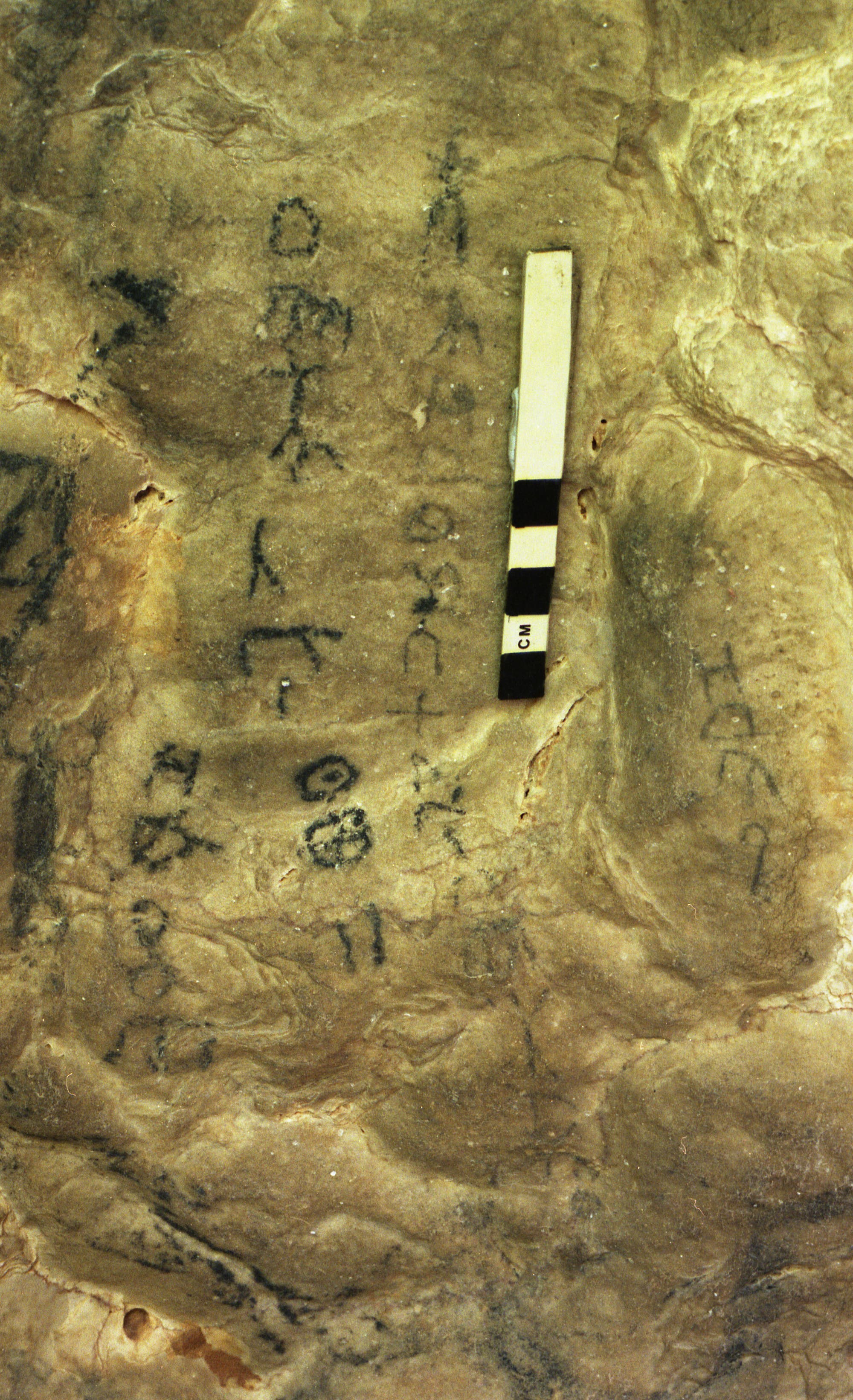 Eine Felswand mit alten Inschriften in dunkler Tinte. Ein Maßstab mit schwarzen und weißen Markierungen liegt horizontal auf dem Felsen, um die Größe der Inschriften zu verdeutlichen. Die Inschriften sind teilweise verblasst und schwer lesbar. Die Oberfläche des Felsens ist uneben und zeigt natürliche Texturen und Farben.