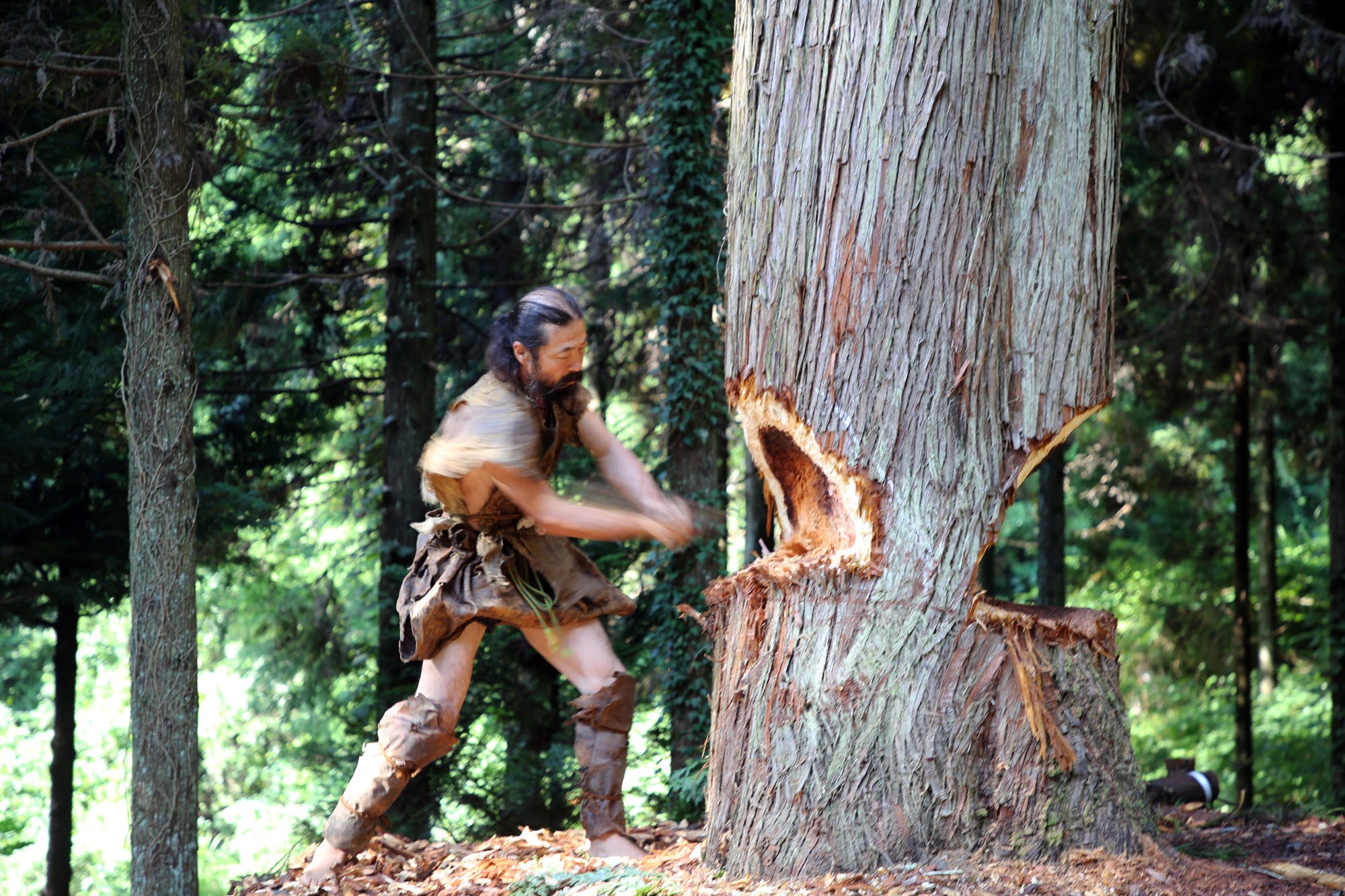Ein Mann in steinzeitlicher Lederkleidung hackt mit einer Axt an einem großen Baum in einem dichten Wald. Die Umgebung ist grün und dicht bewaldet, was auf eine natürliche, unberührte Landschaft hinweist. Der Mann ist in Bewegung, was auf die Anstrengung beim Fällen des Baumes hinweist. Es gibt keine sichtbaren Texte oder Links im Bild.