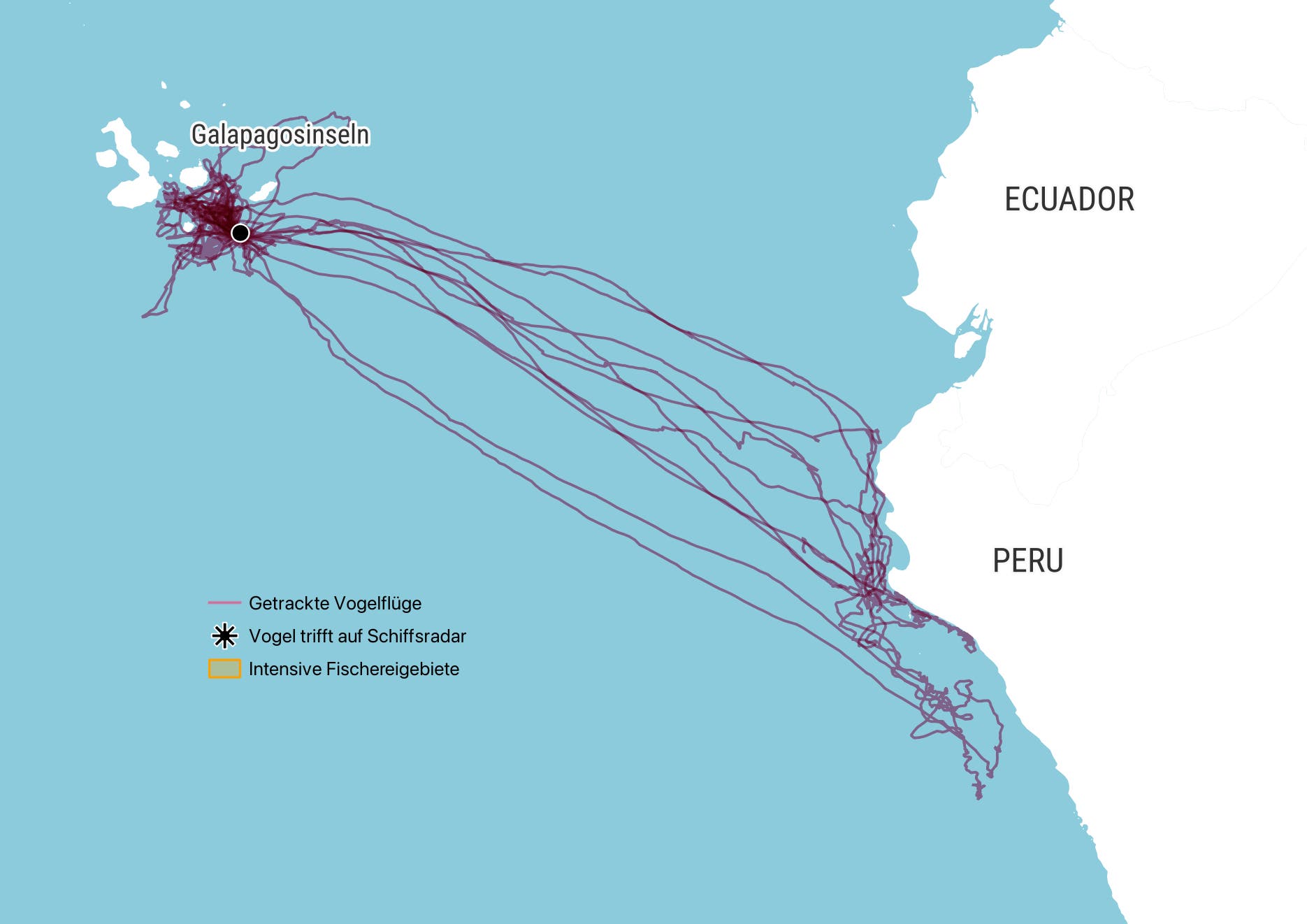 Eine geografische Karte zeigt die Flugrouten von Vögeln, die von den Galapagosinseln entlang der Küste von Ecuador und Peru verlaufen. Die Karte hebt getrackte Vogelflüge in lila hervor. Ein Symbol zeigt, wo Vögel auf Schiffsradar treffen, und gelbe Bereiche markieren intensive Fischereigebiete. Die Karte dient der Analyse von Vogelbewegungen und ihrer Interaktion mit menschlichen Aktivitäten.