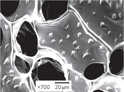 Gold-Nanodrähte in Alginat-Matrix