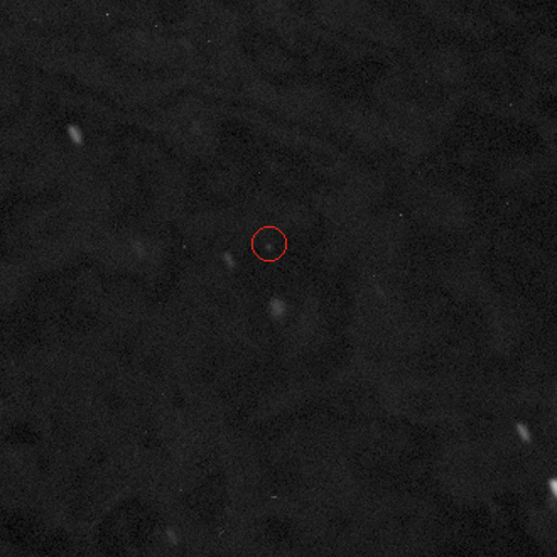 Asteroid NEO2008 QT3