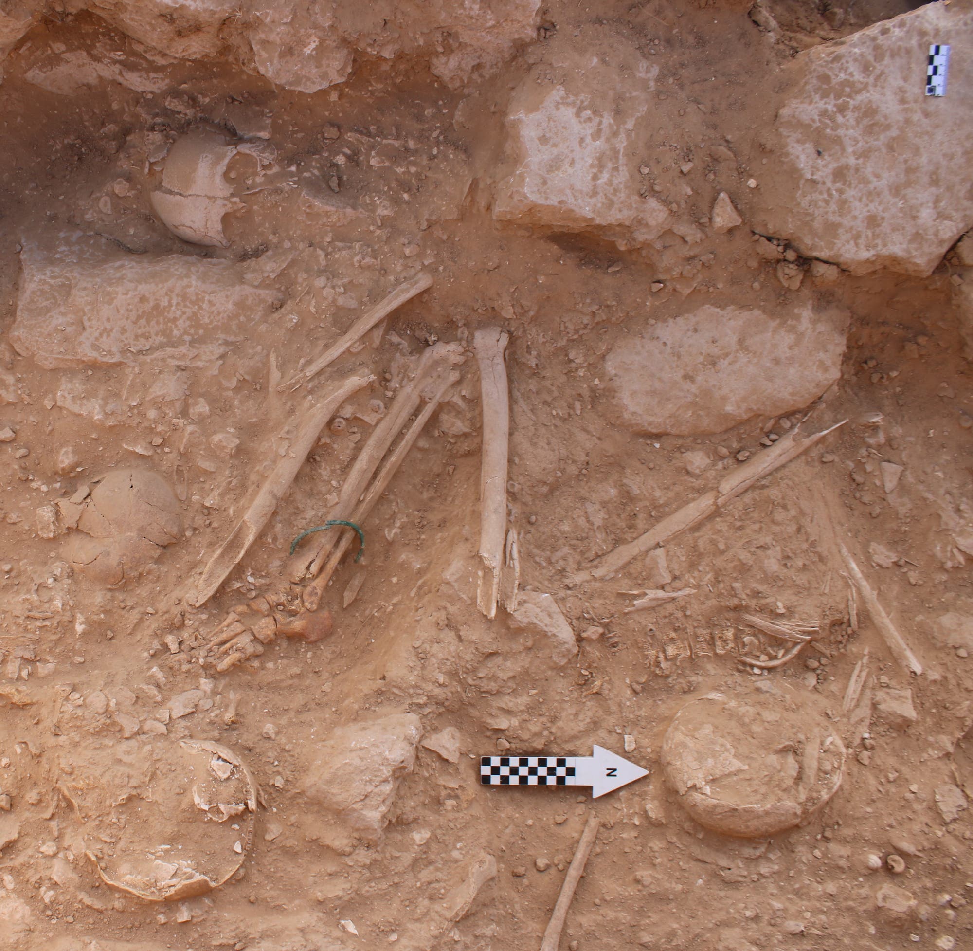 Skelette in antikem Grab in der Negev.