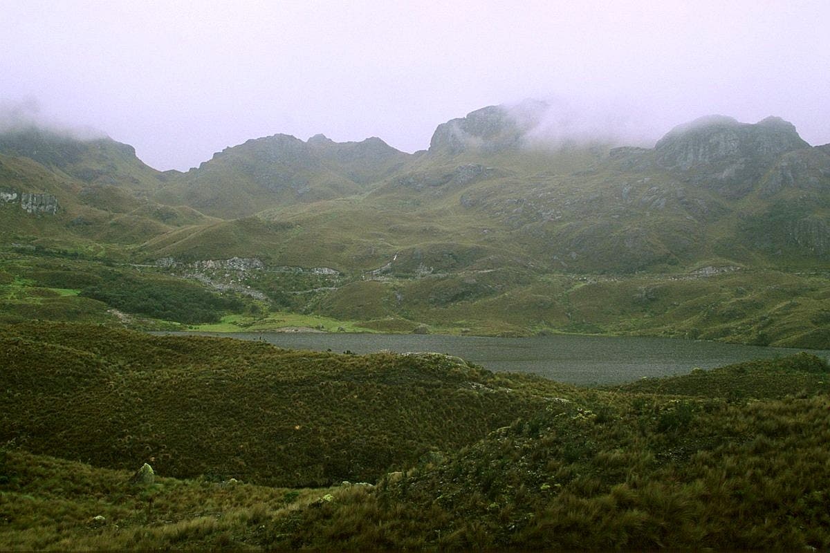 Cajas-Nationalpark