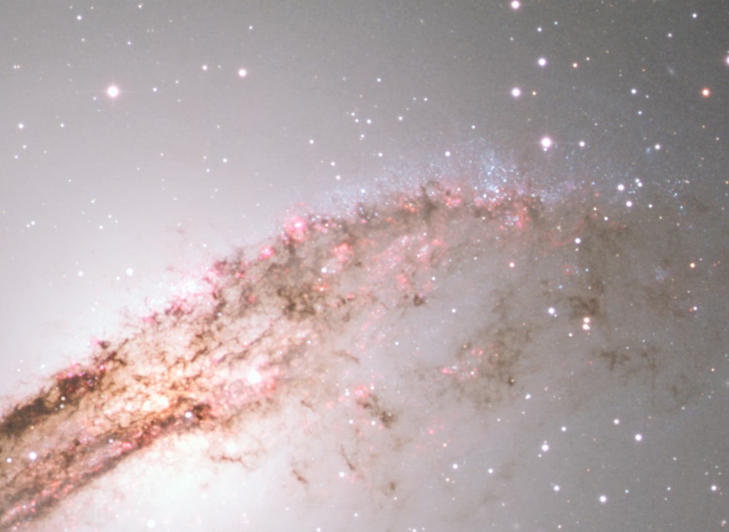 Sternenstehung in Centaurus&nbsp;A