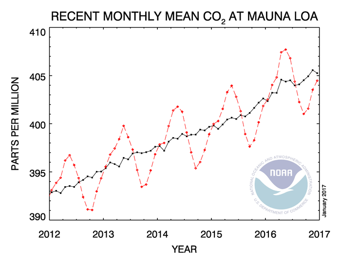 Monatliche durchschnittliche Kohlendioxidkonzentration in 3400 Metern Höhe. Abbildung vom 9.1. 2016 auf https://www.esrl.noaa.gov/gmd/ccgg/trends/index.html