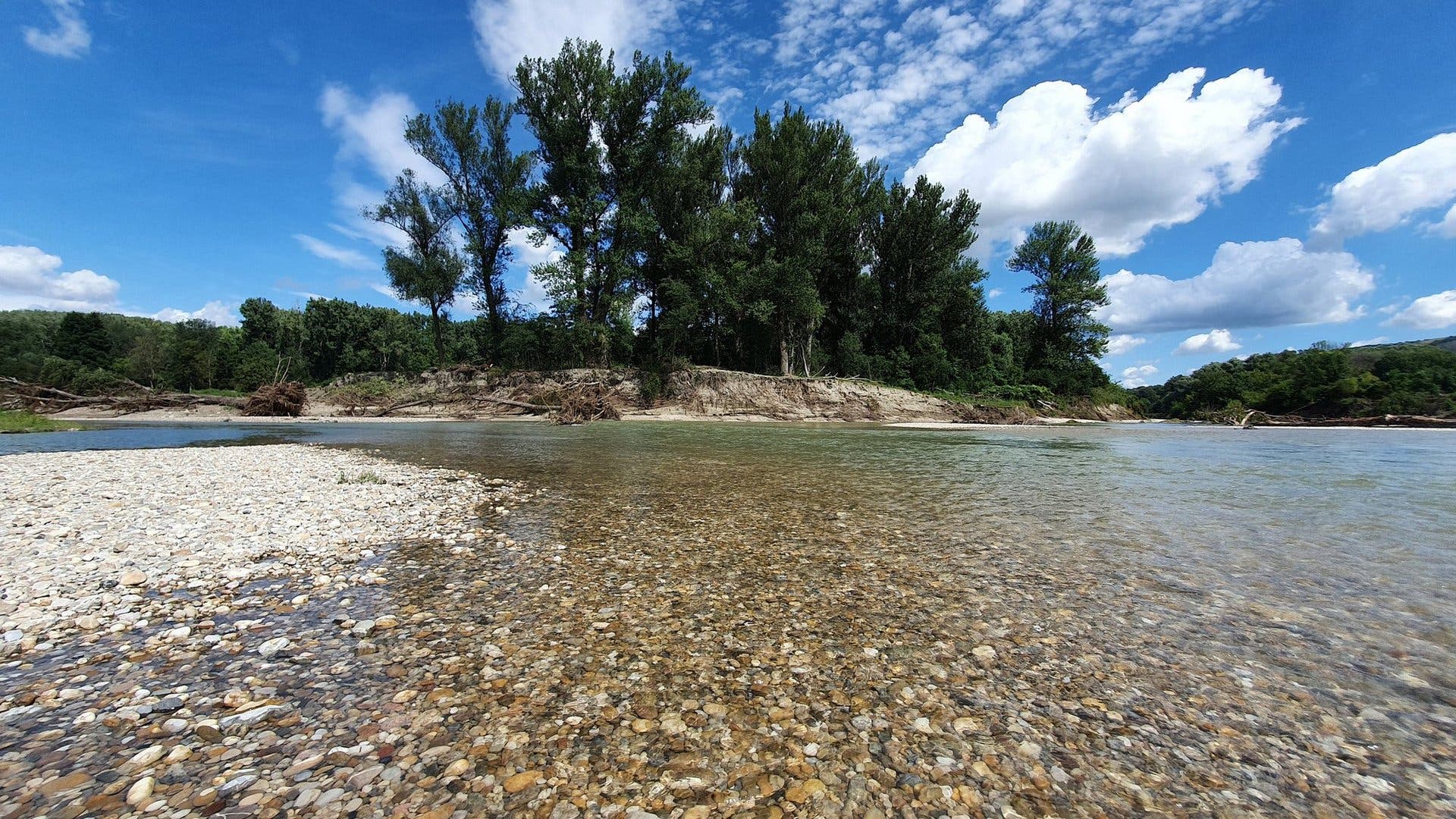 Eine Flusslandschaft mit klarem Wasser, das über eine Kiesbank fließt. Im Hintergrund sind hohe, grüne Bäume und ein blauer Himmel mit weißen Wolken zu sehen. Die Szene vermittelt eine ruhige und natürliche Atmosphäre.