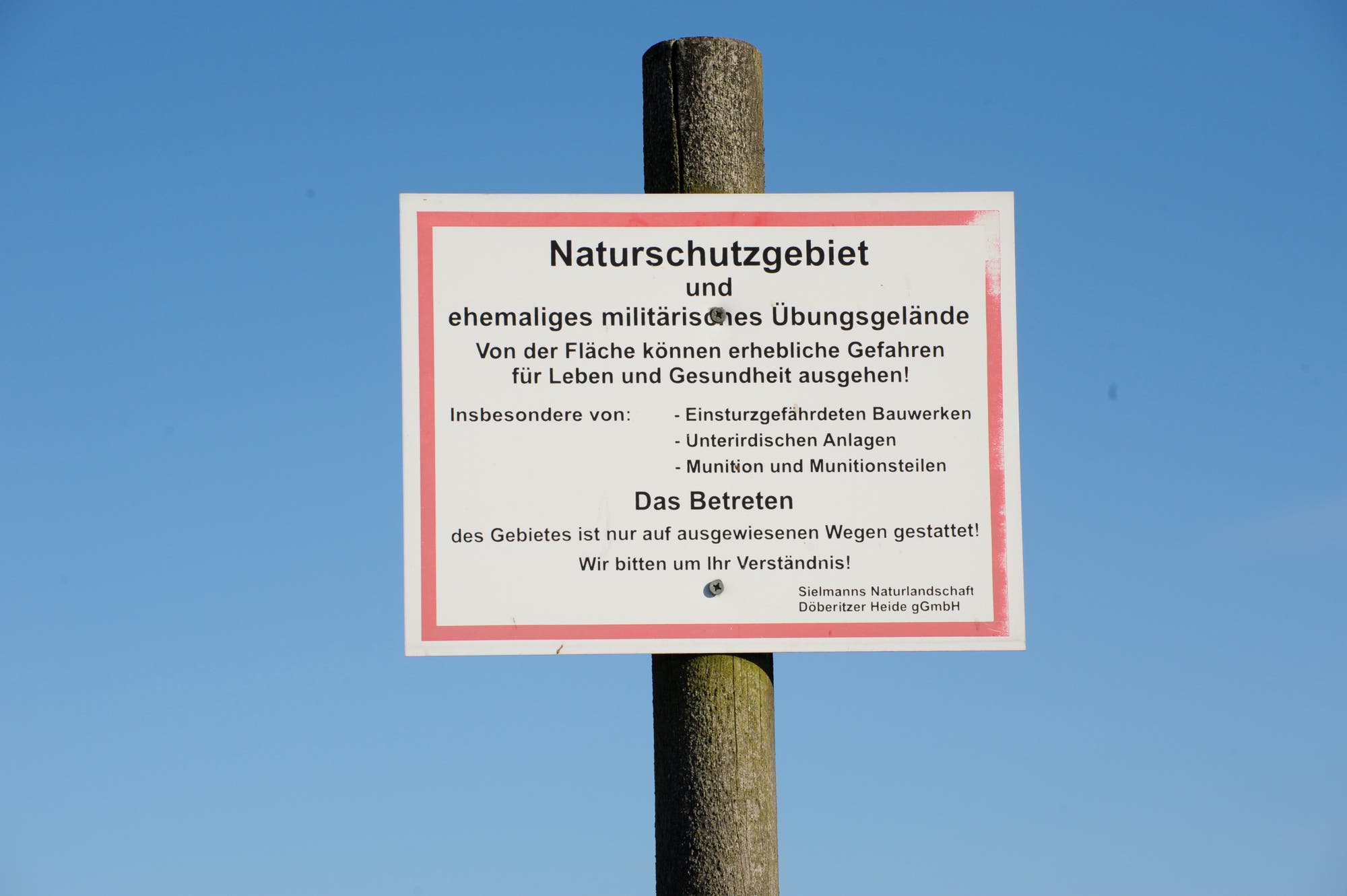 Ein rund 30 Quadratkilometer großes Gebiet in Brandenburg entwickelt sich gerade zur Wildnis: der ehemalige Truppenübungsplatz Döberitzer Heide.