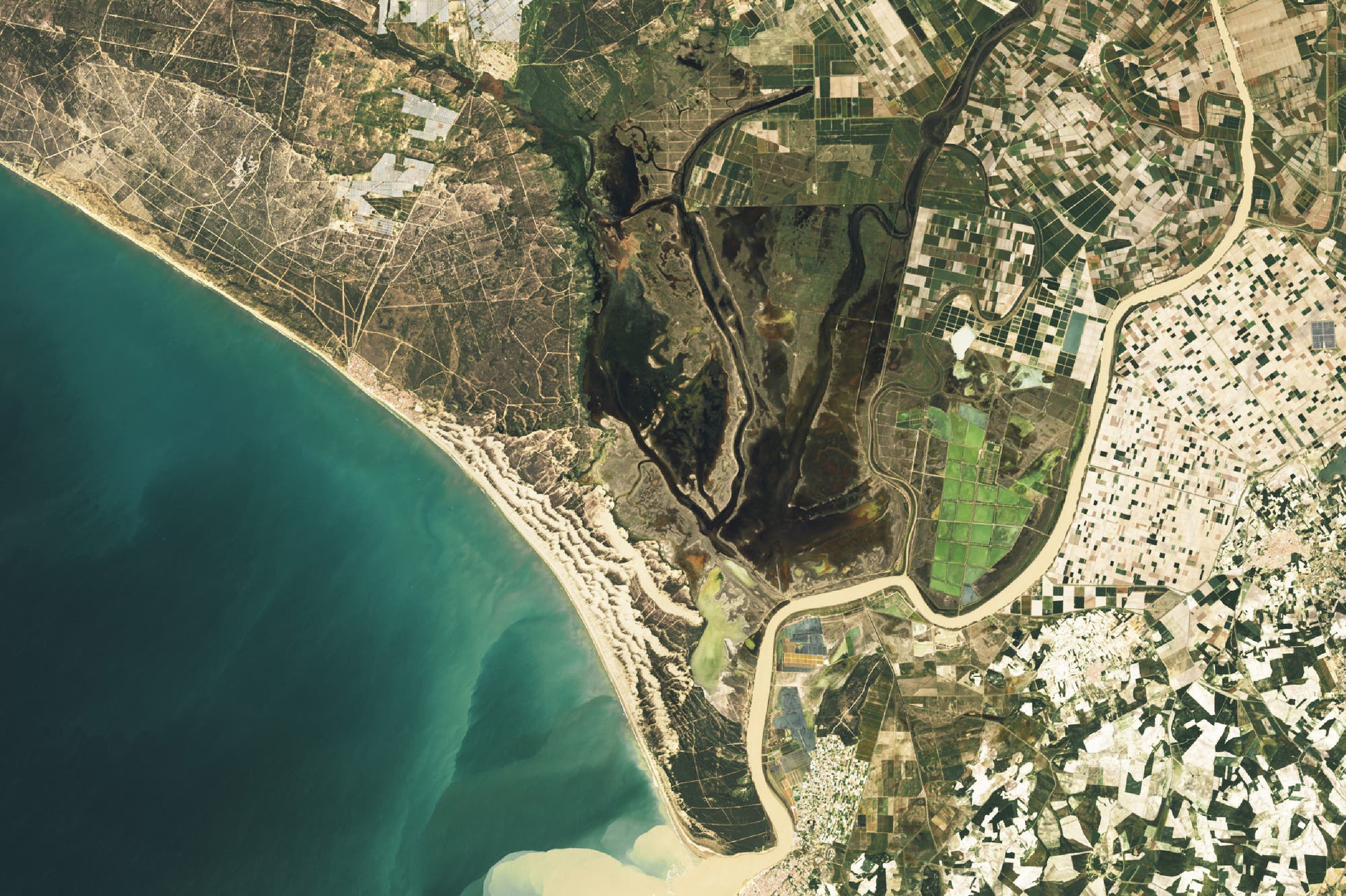 Satellitenbild des Doñana-Nationalparks mit Umgebung: Der Park zeichnet sich durch dunkle Grüntöne aus, während in der Umgebung die klaren Strukturen der Felder erkennbar sind