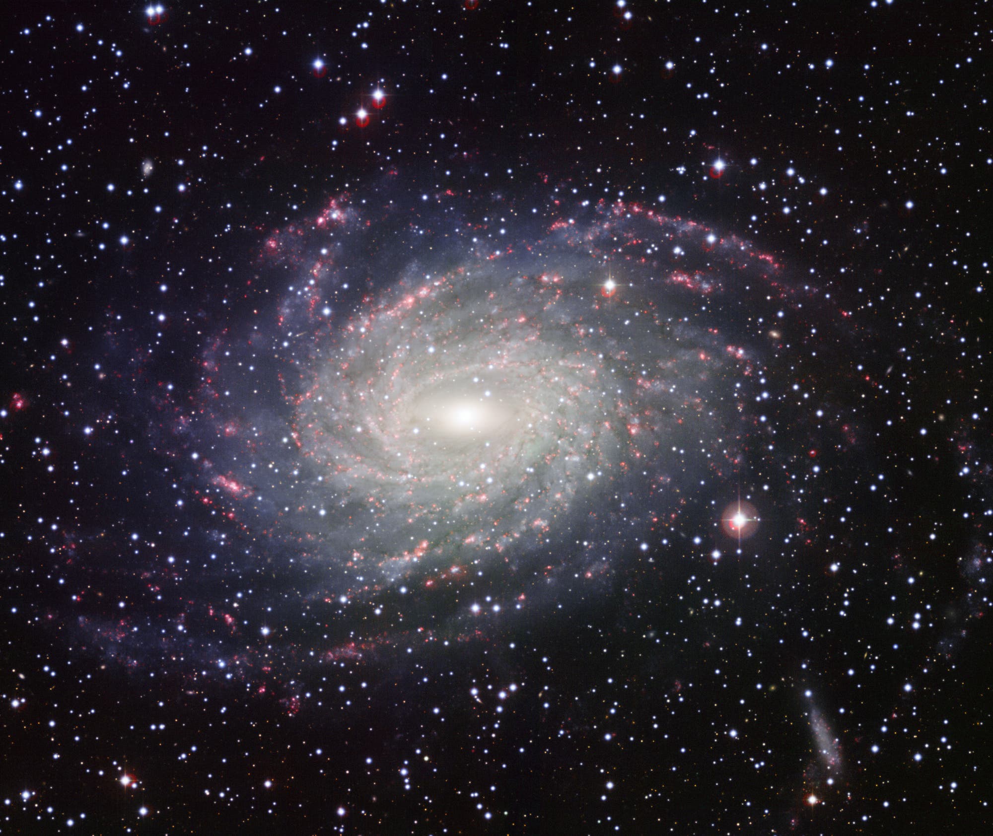 Die Spiralgalaxie NGC 6744 im Sternbild Pfau