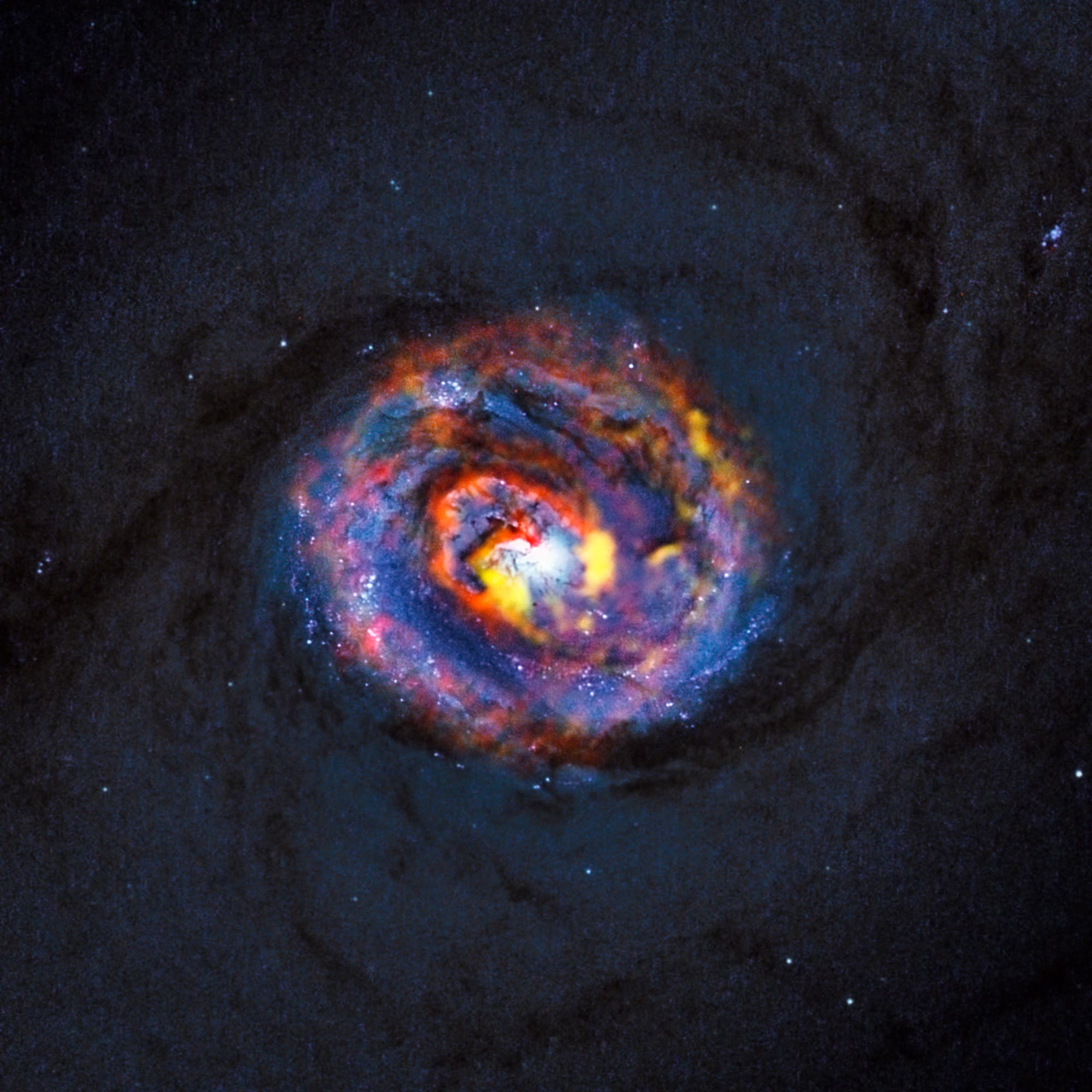 Der Zentralbereich von NGC 1433 (Kombination aus ALMA- und HST-Aufnahmen)