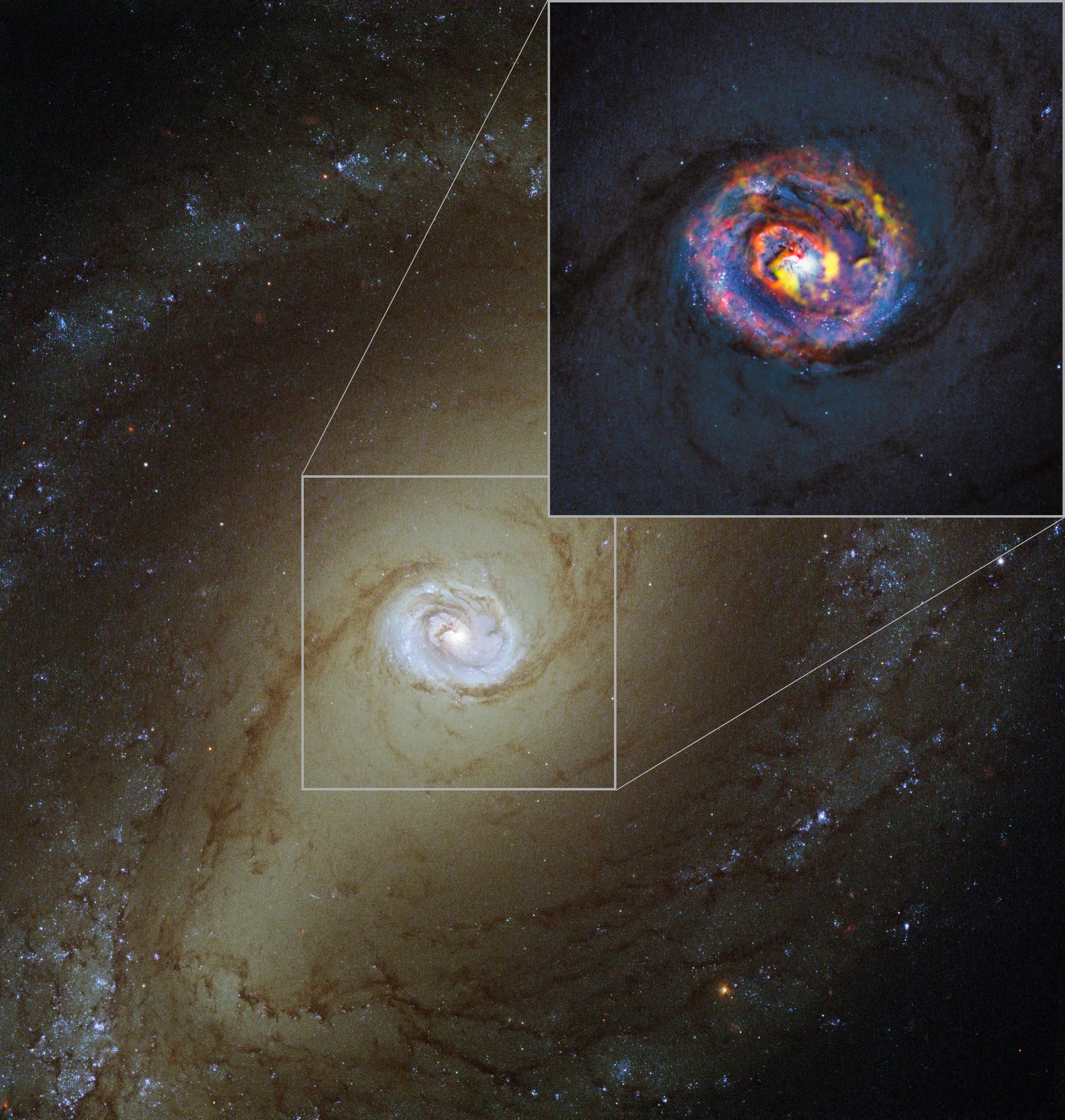 Kontextaufnahme der aktiven Galaxie NGC 1433 (Aufnahme des Weltraumteleskops Hubble)