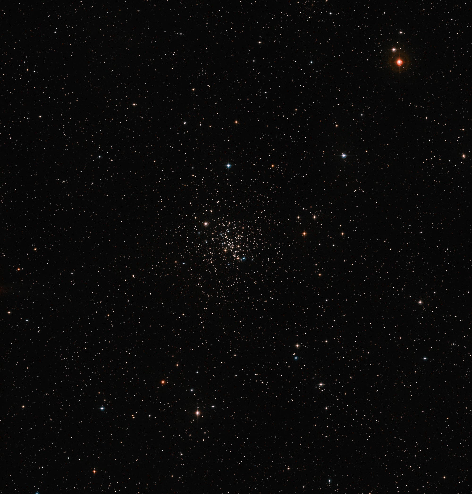 Übersichtsaufnahme des offenen Sternhaufens Messier 67 im Sternbild Krebs