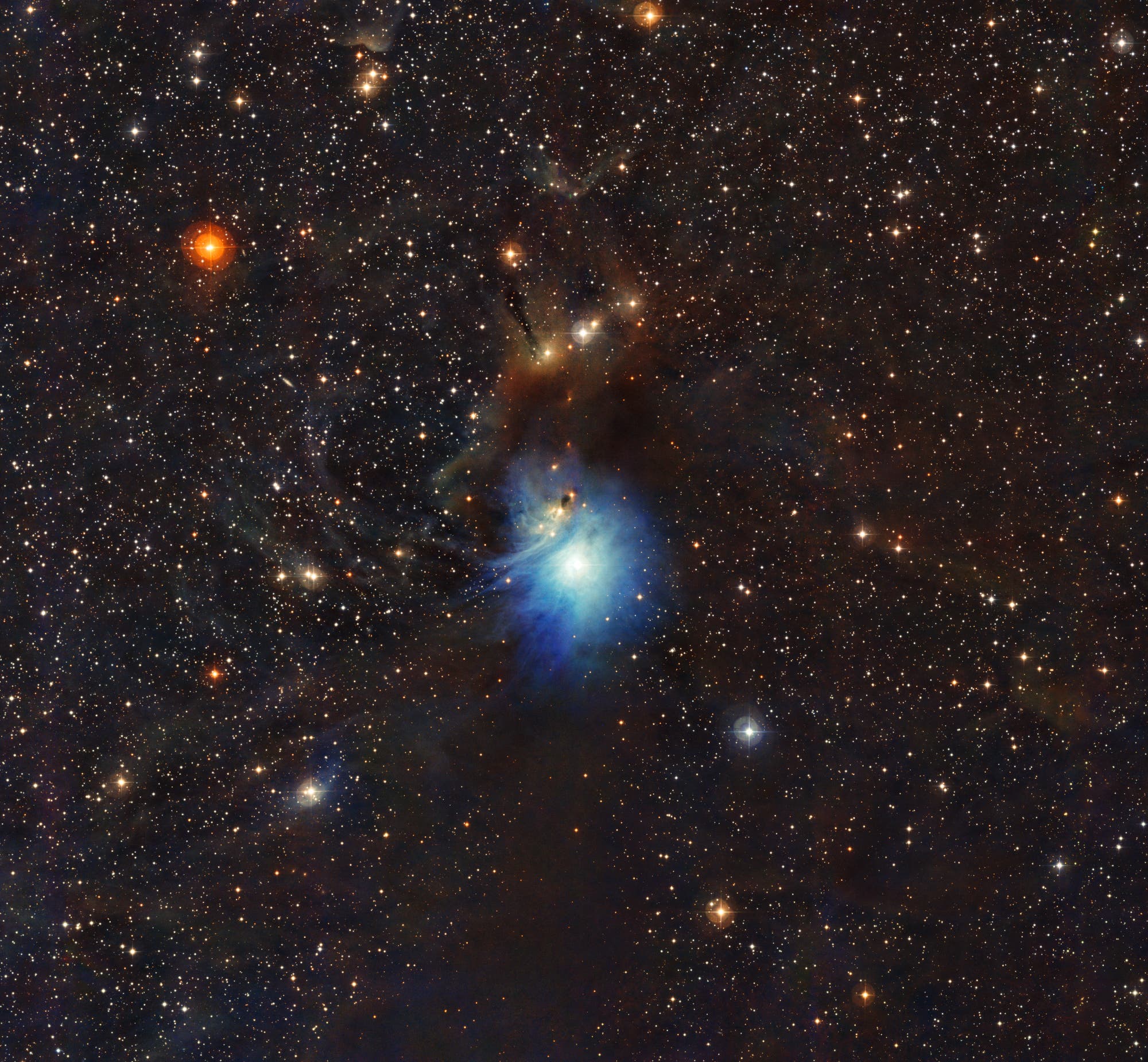 Der Reflexionsnebel IC 2631 im Sternbild Chamäleon