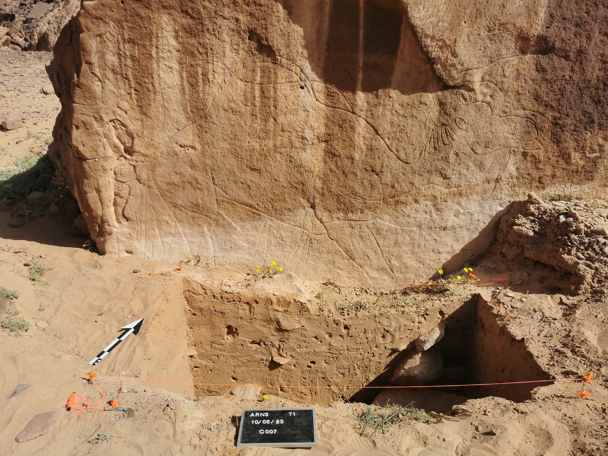 Eine archäologische Ausgrabungsstätte in einer Wüstenlandschaft. Im Vordergrund ist ein rechteckiges Grabungsloch zu sehen, das in den sandigen Boden gegraben wurde. Eine Tafel mit der Aufschrift "ARNS T1 10/06/23 C007" liegt am Rand der Grube. Im Hintergrund erhebt sich ein Stück flacher Fels mit eingravierten Linien und Mustern. Ein Pfeil zeigt die Ausrichtung der Ausgrabung an. Einige gelbe Blumen wachsen am Rand der Grube.