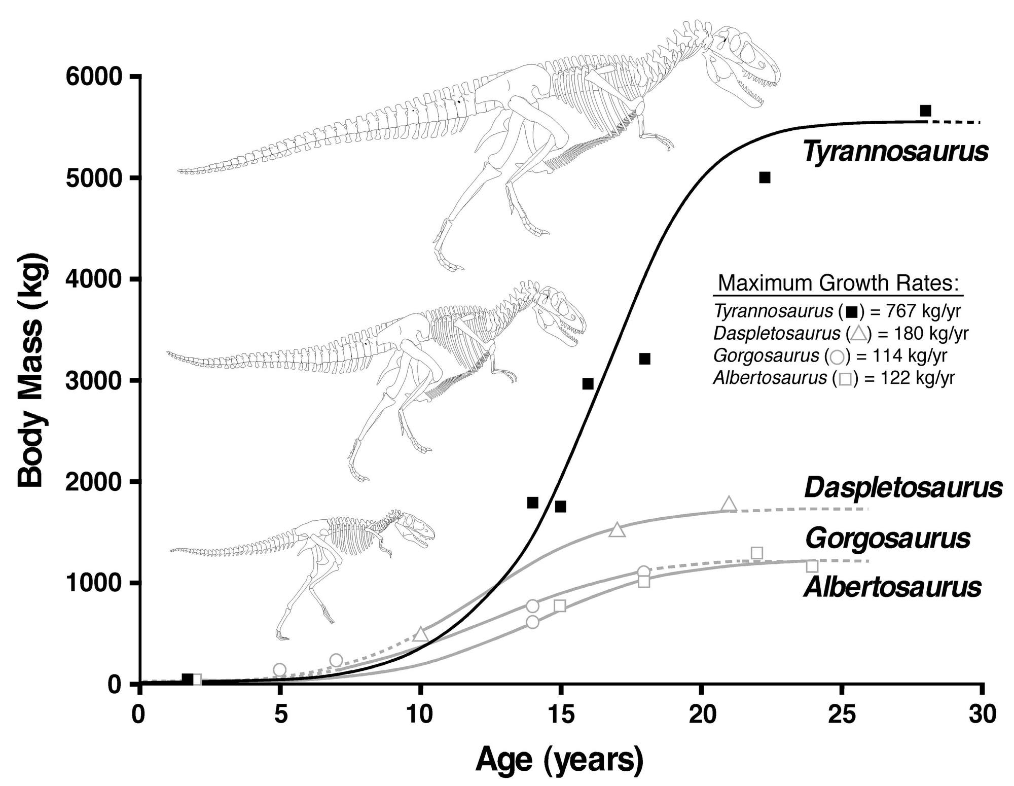 Dinosaurier-Wachstums-Kurve