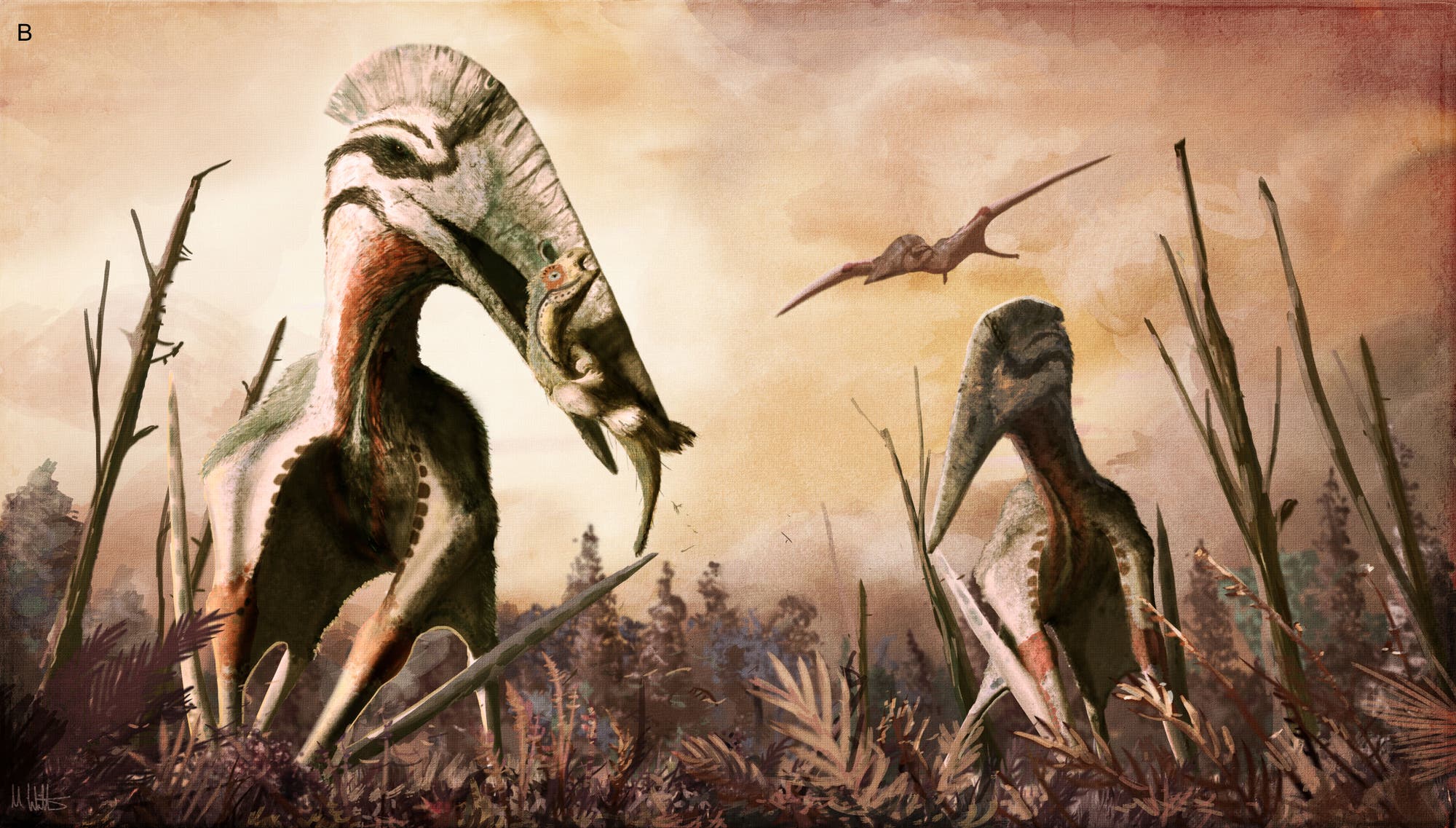 5. Pterosaurier – Giganten der Luft
