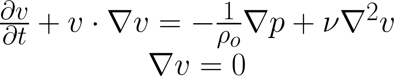 Die Navier-Stokes-Gleichungen