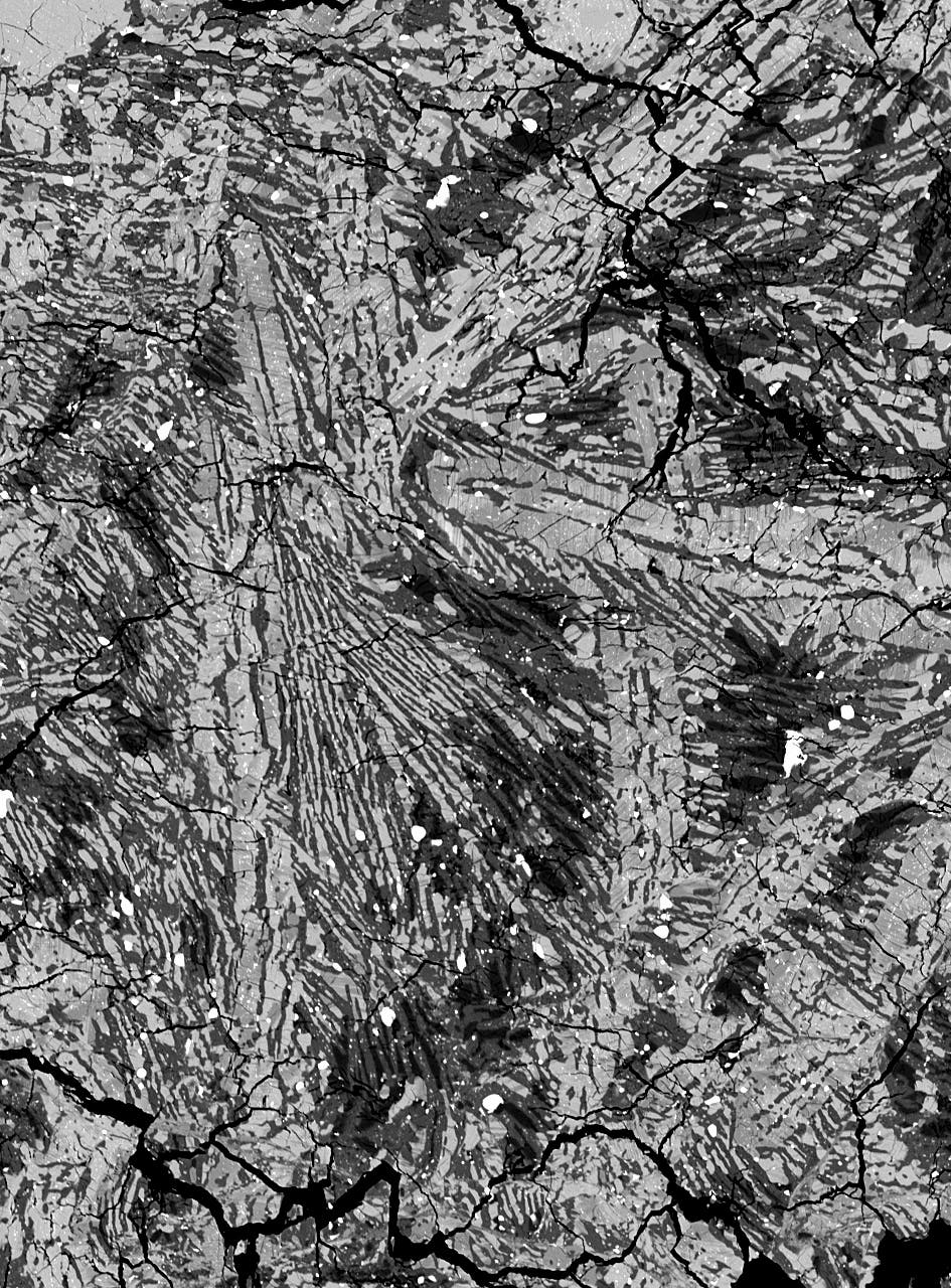 Meteorit Allan Hills A81001 unter dem Mikroskop
