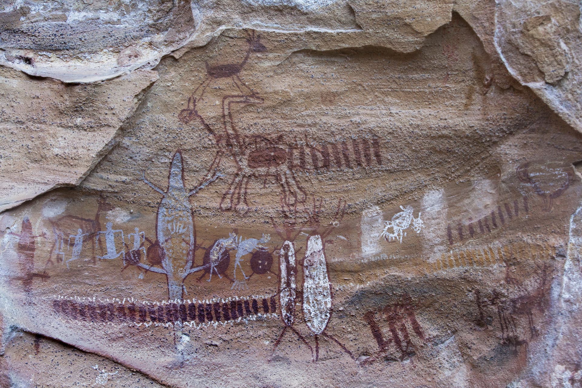 Ein mit vielen roten und weißen Figuren bemalter gelblicher Felsüberhang